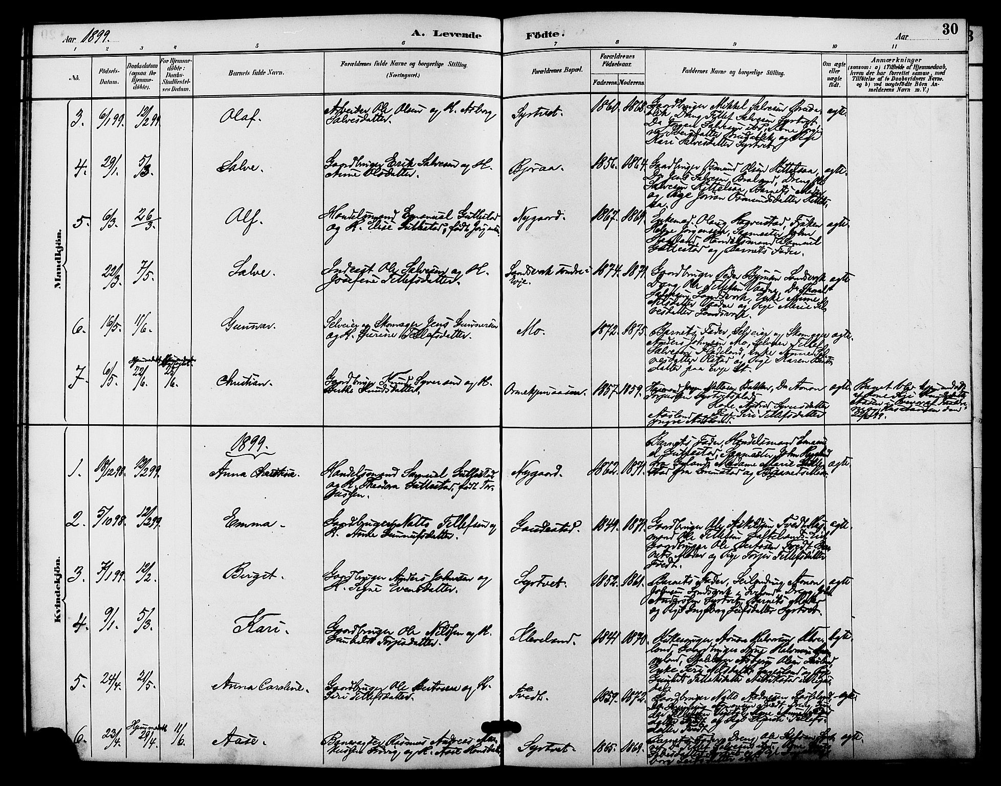 Evje sokneprestkontor, AV/SAK-1111-0008/F/Fb/Fba/L0003: Parish register (copy) no. B 3, 1888-1903, p. 30