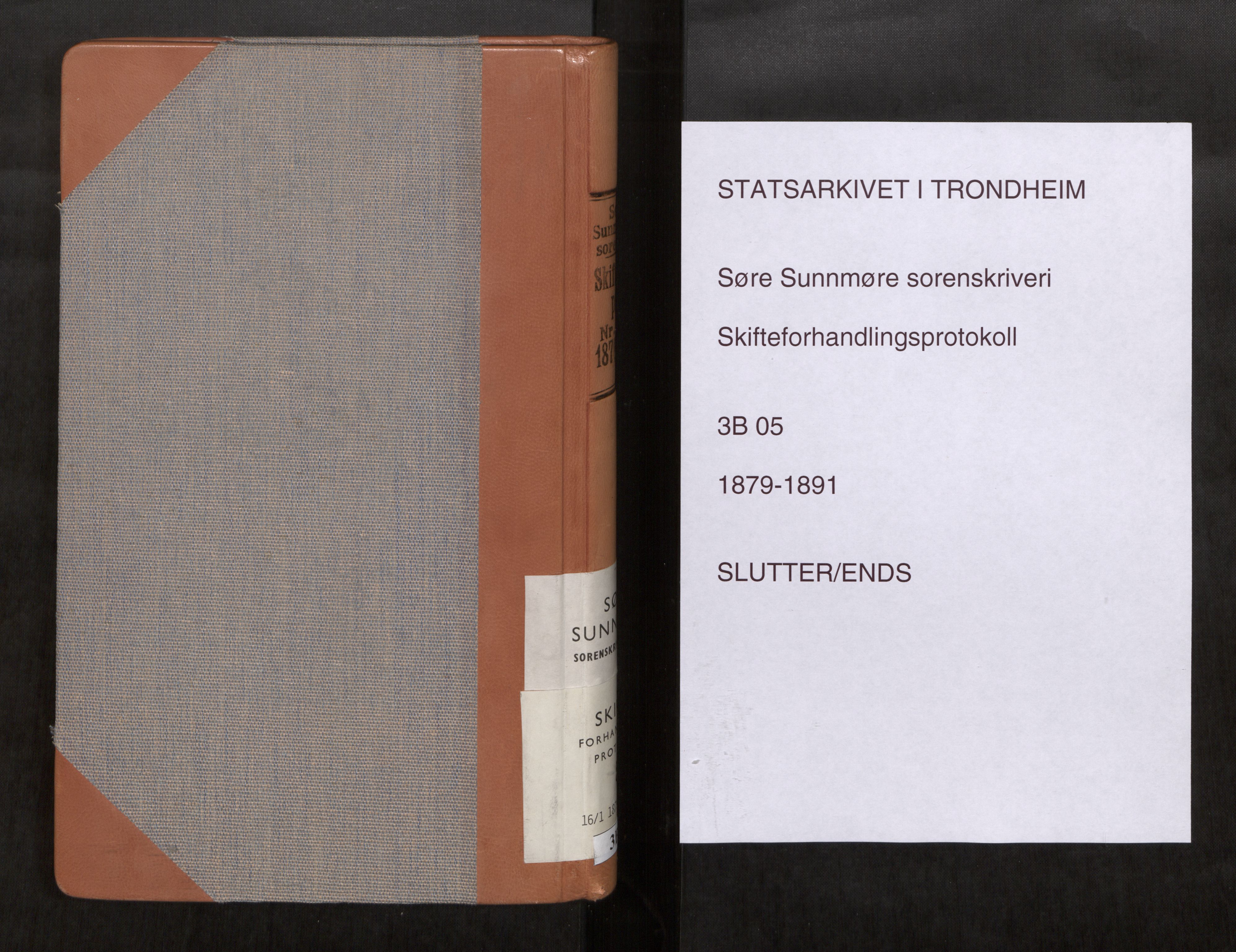 Søre Sunnmøre sorenskriveri, AV/SAT-A-4122/1/3/3B/L0005: Skiftebehandlings- / Skifteforhandlingsprotokollar, 1879-1891, p. 143