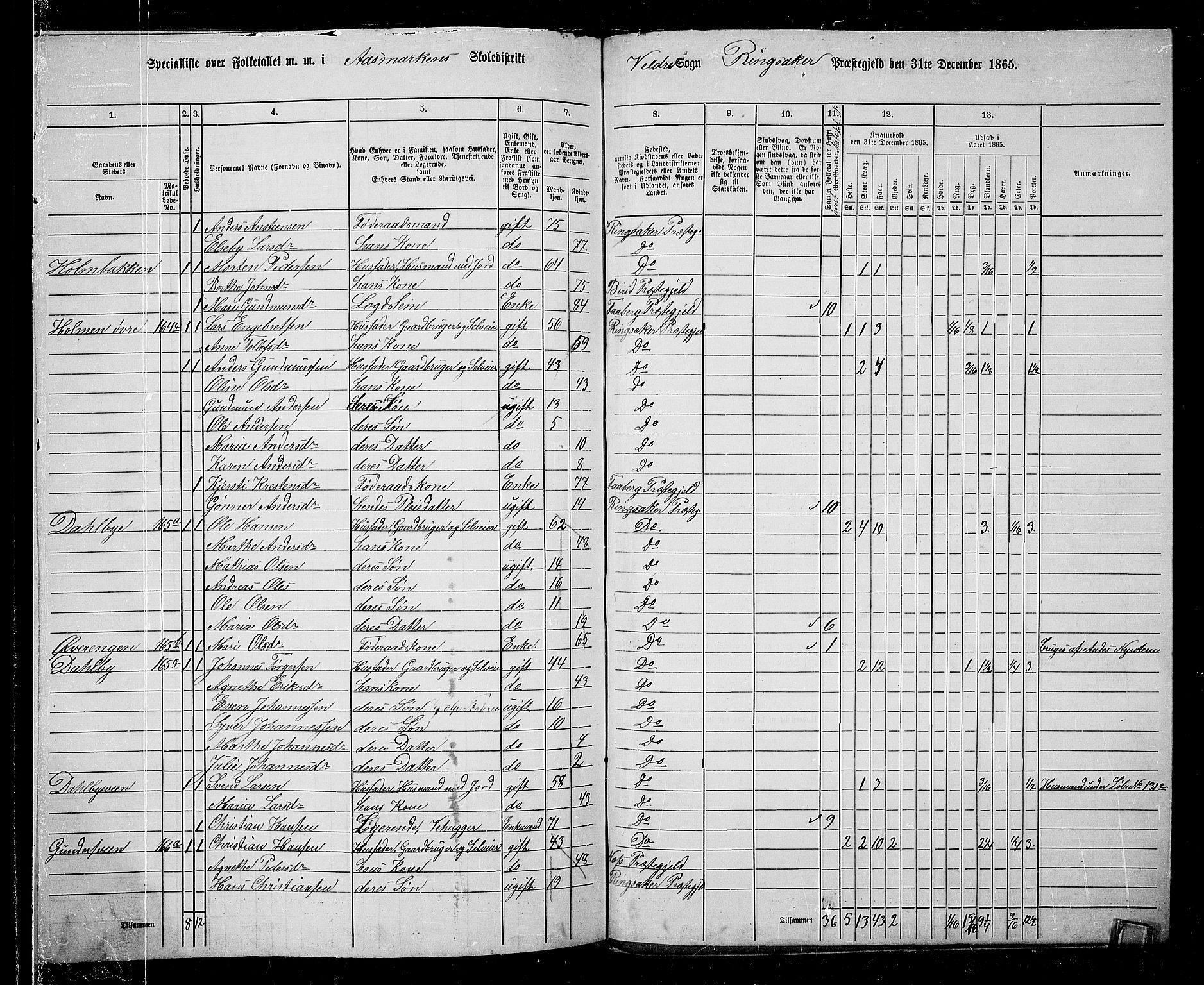 RA, 1865 census for Ringsaker, 1865, p. 219