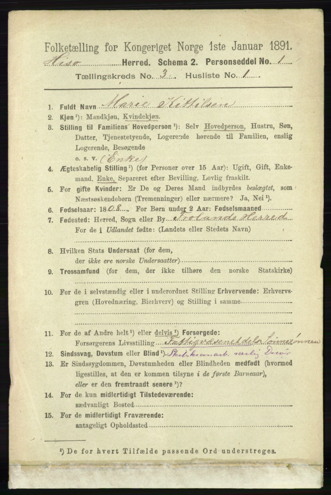 RA, 1891 census for 0922 Hisøy, 1891, p. 2252