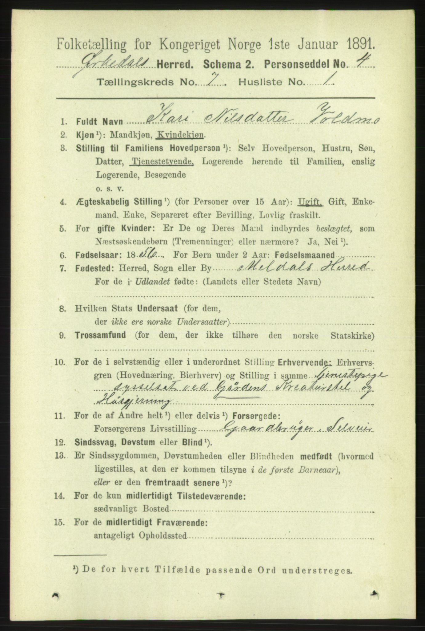 RA, 1891 census for 1638 Orkdal, 1891, p. 3438