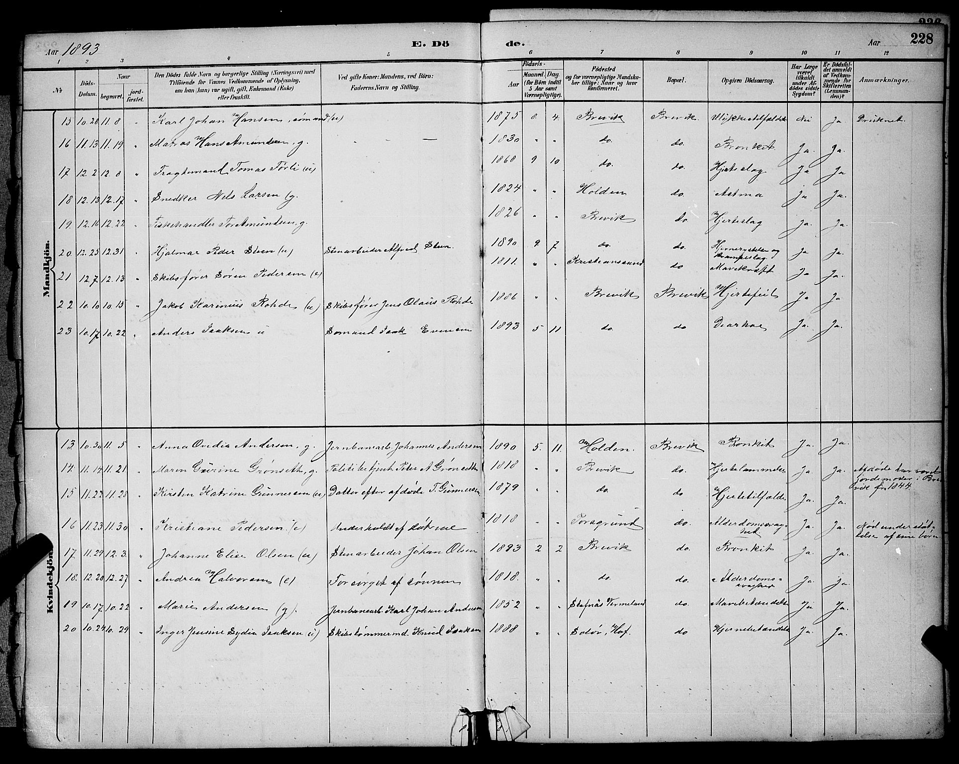 Brevik kirkebøker, SAKO/A-255/G/Ga/L0004: Parish register (copy) no. 4, 1882-1900, p. 228