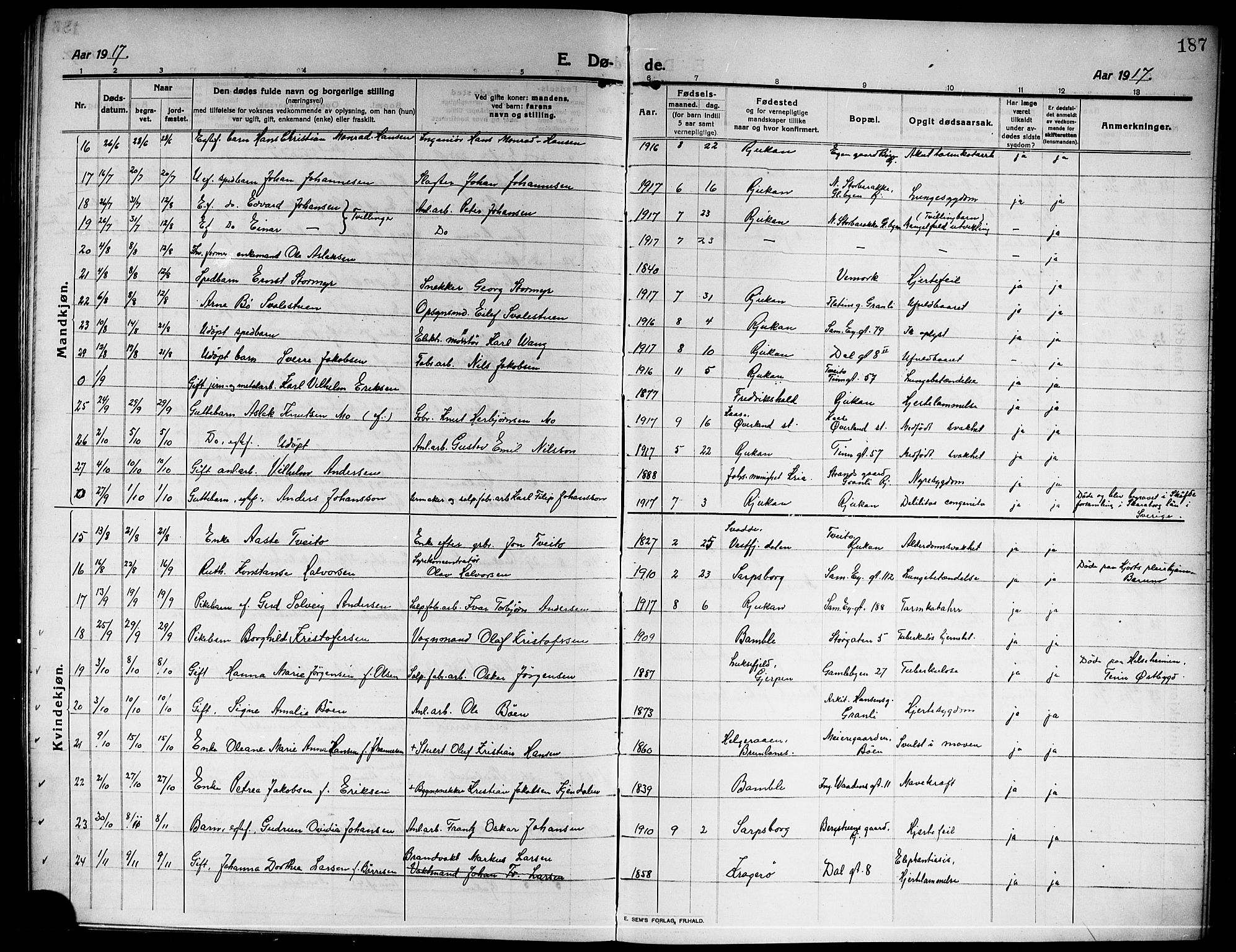 Rjukan kirkebøker, AV/SAKO-A-294/G/Ga/L0002: Parish register (copy) no. 2, 1913-1920, p. 187