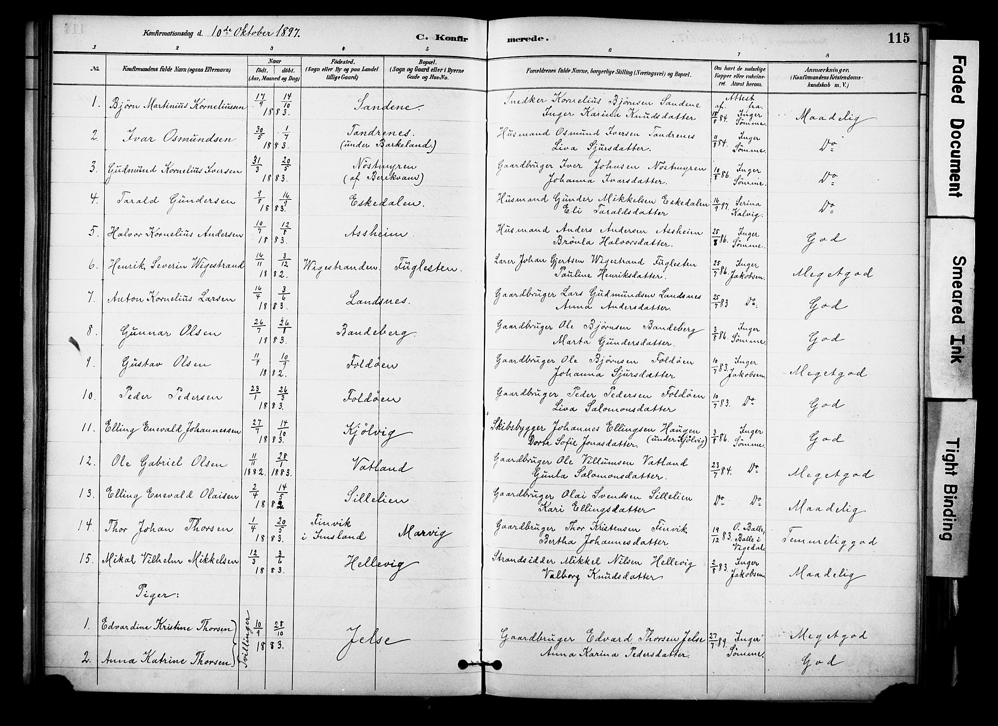 Jelsa sokneprestkontor, SAST/A-101842/01/IV: Parish register (official) no. A 10, 1884-1906, p. 115
