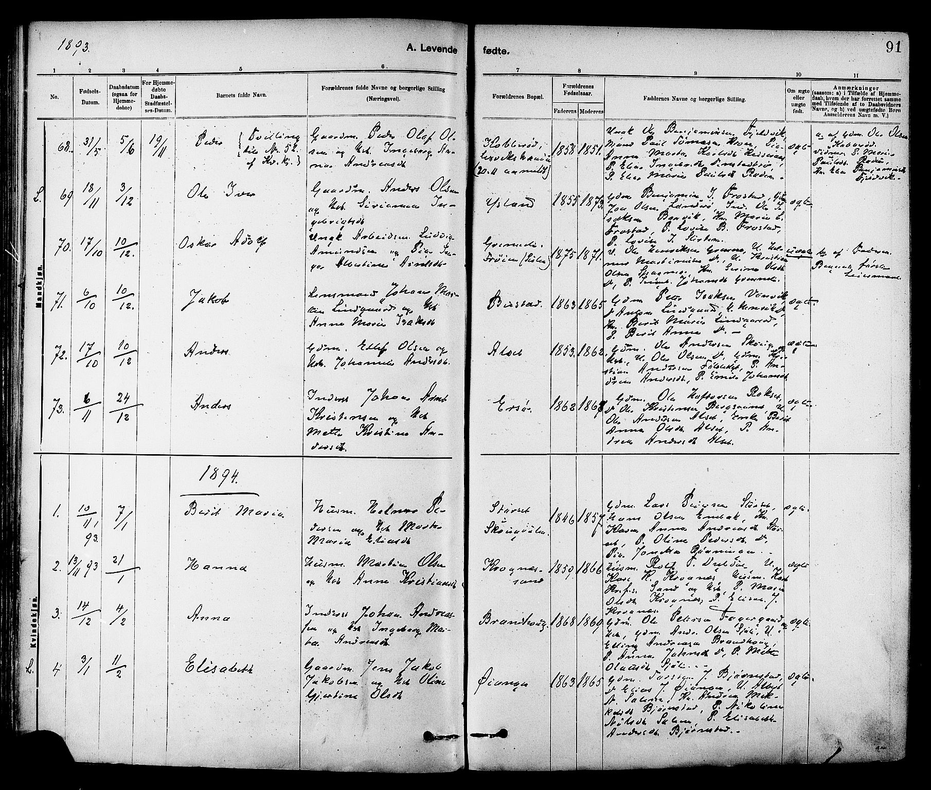 Ministerialprotokoller, klokkerbøker og fødselsregistre - Sør-Trøndelag, SAT/A-1456/647/L0634: Parish register (official) no. 647A01, 1885-1896, p. 91