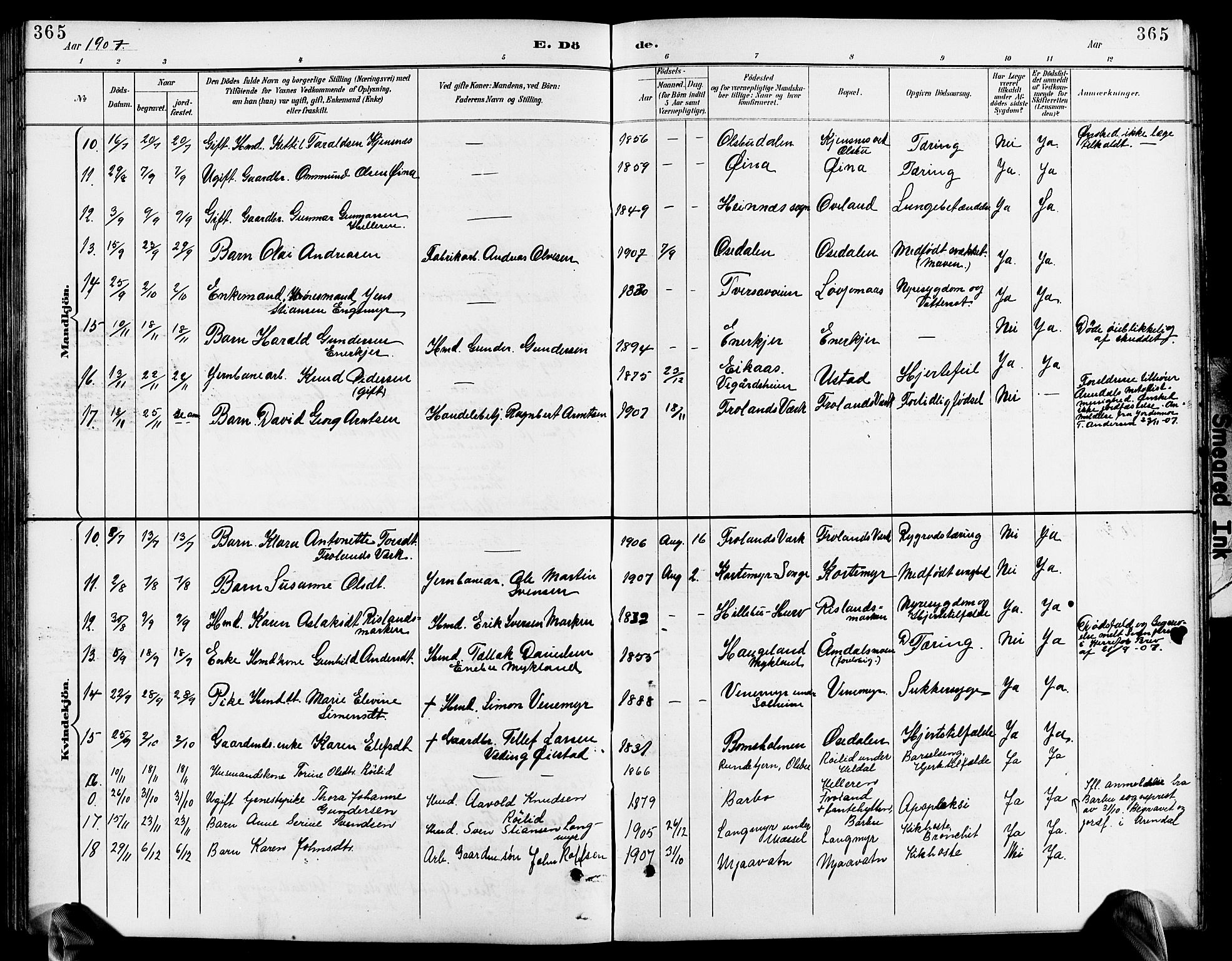 Froland sokneprestkontor, AV/SAK-1111-0013/F/Fb/L0010: Parish register (copy) no. B 10, 1893-1920, p. 365