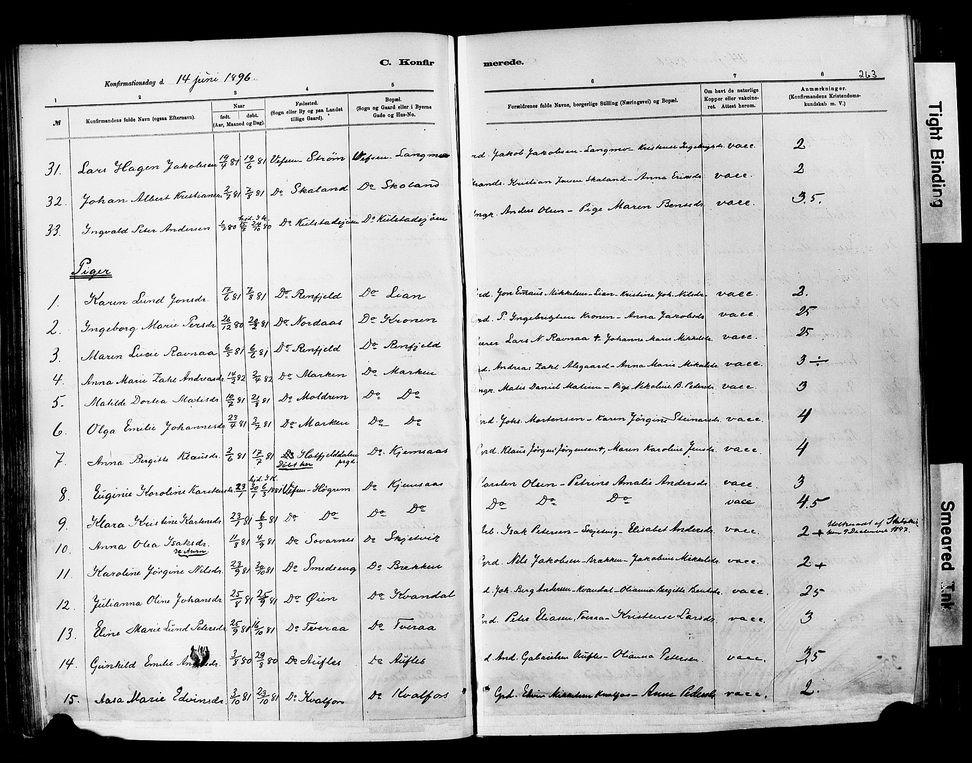 Ministerialprotokoller, klokkerbøker og fødselsregistre - Nordland, AV/SAT-A-1459/820/L0295: Parish register (official) no. 820A16, 1880-1896, p. 263