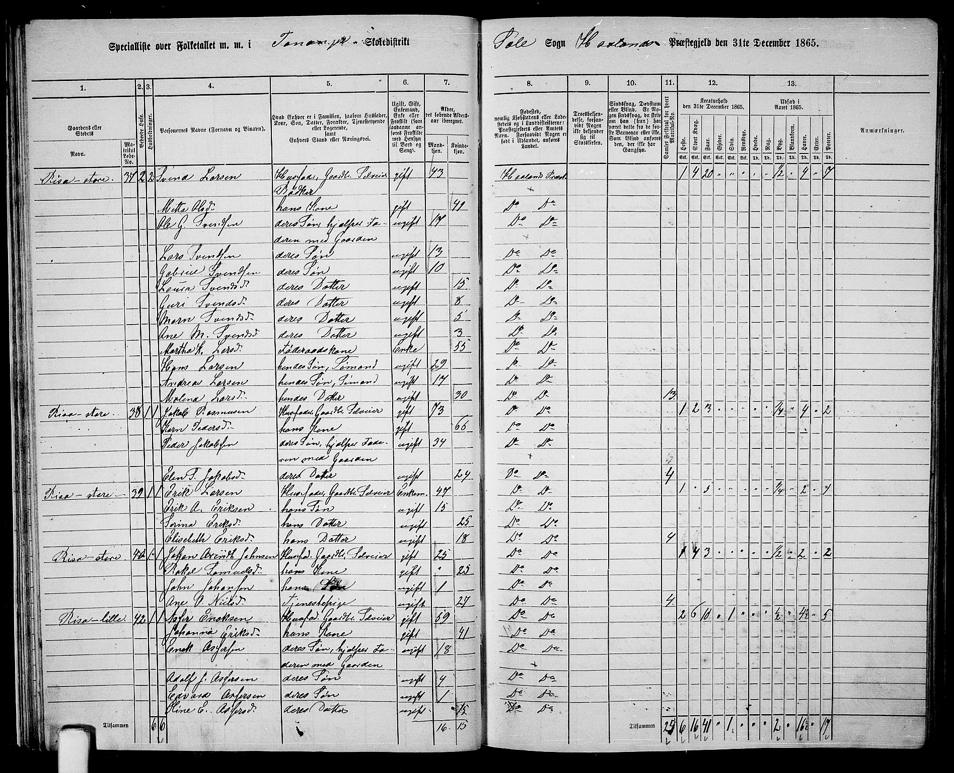 RA, 1865 census for Håland, 1865, p. 30