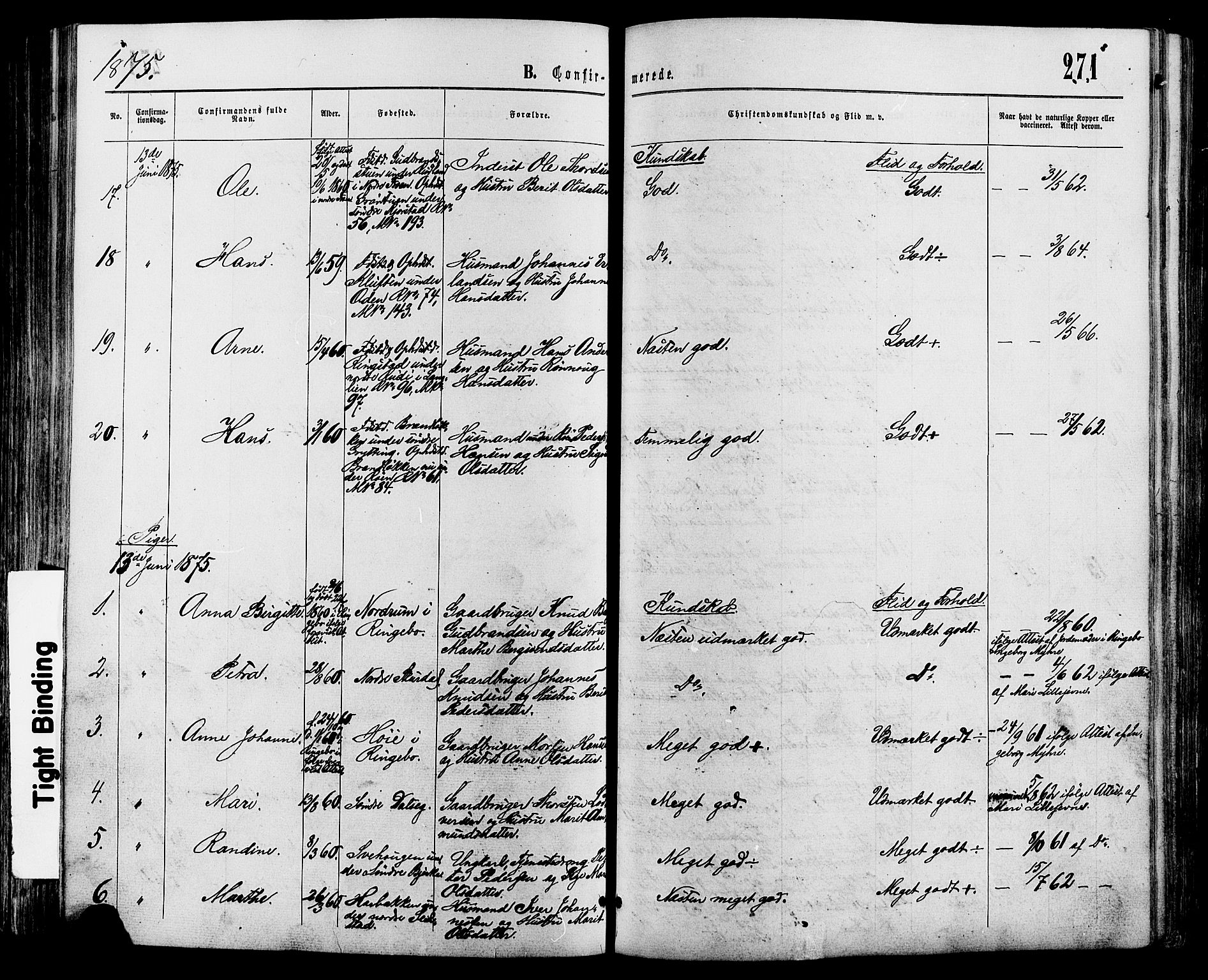 Sør-Fron prestekontor, AV/SAH-PREST-010/H/Ha/Haa/L0002: Parish register (official) no. 2, 1864-1880, p. 271