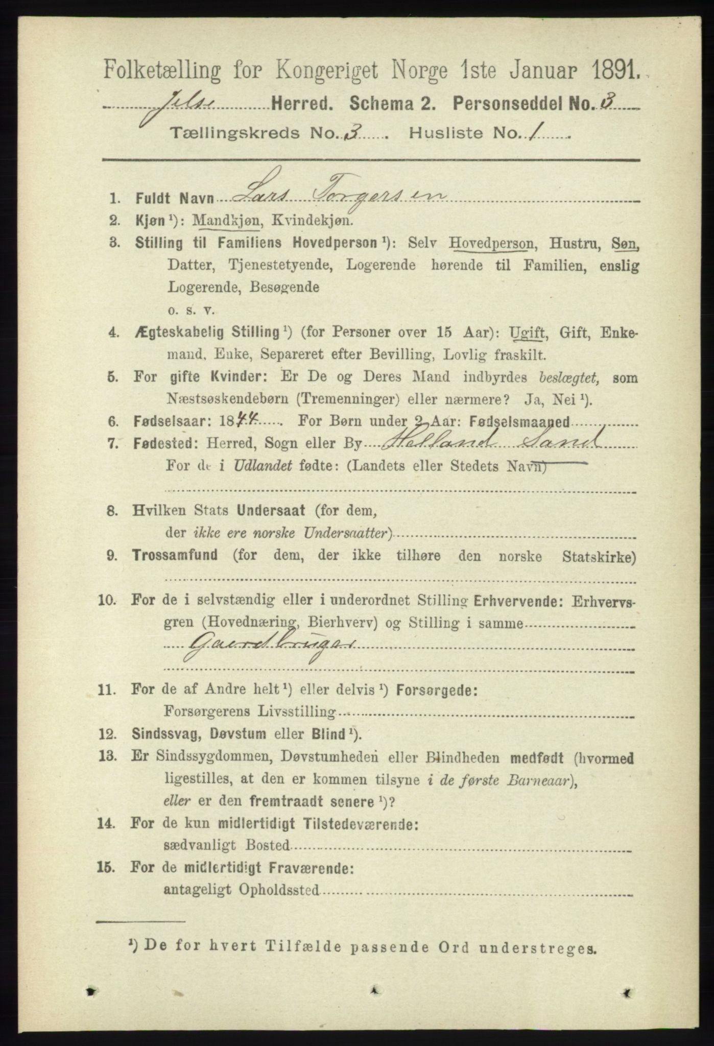 RA, 1891 census for 1138 Jelsa, 1891, p. 379