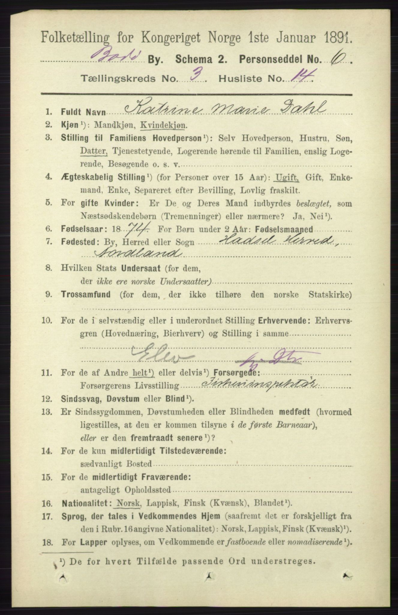 RA, 1891 census for 1804 Bodø, 1891, p. 2185