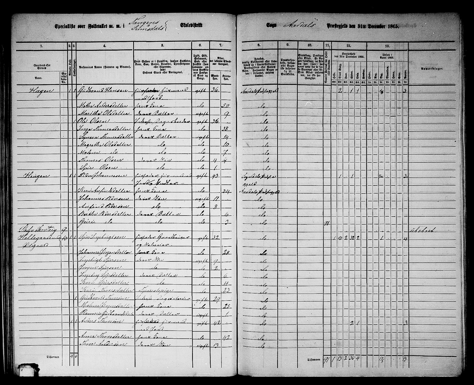 RA, 1865 census for Årdal, 1865, p. 35