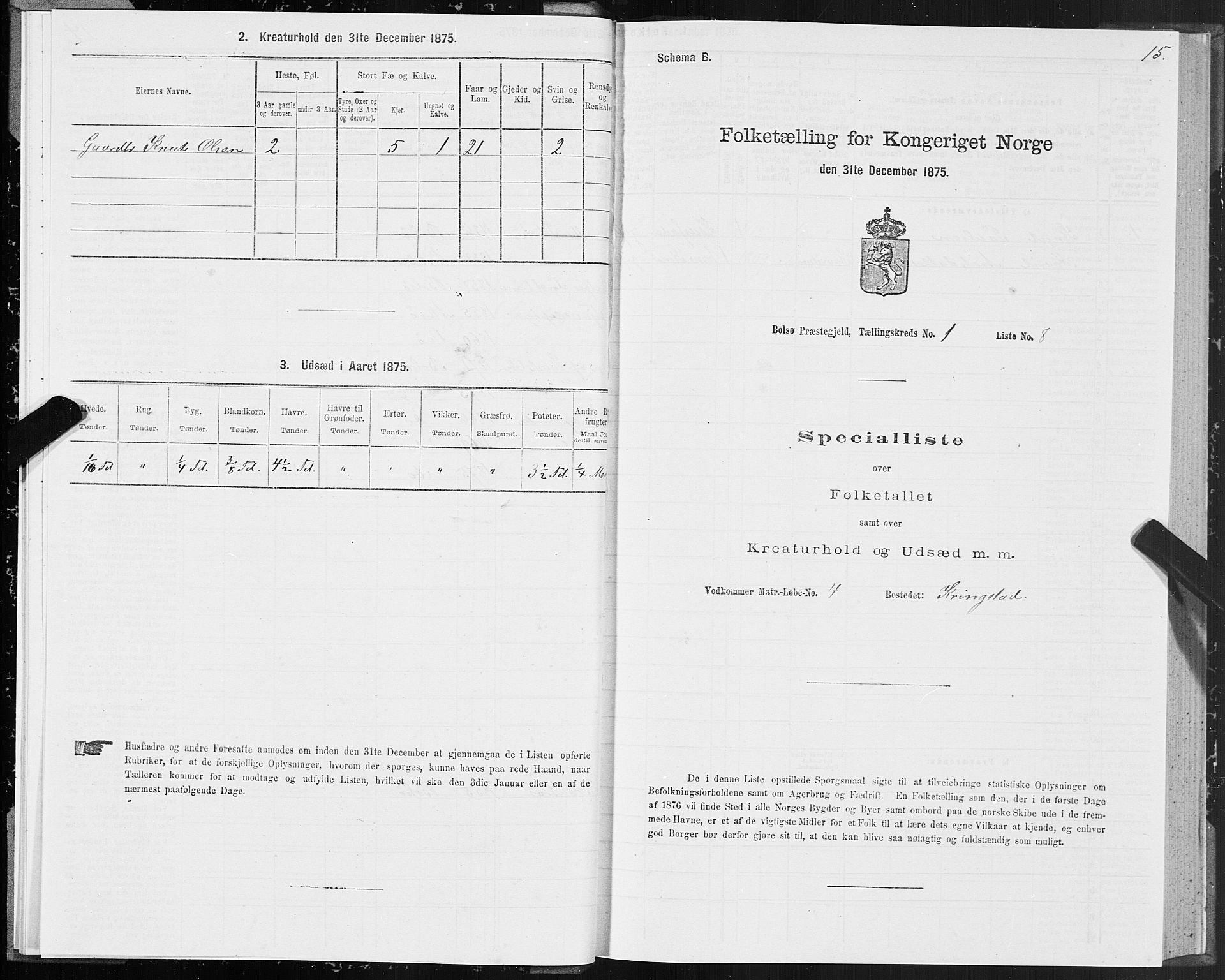 SAT, 1875 census for 1544P Bolsøy, 1875, p. 1015