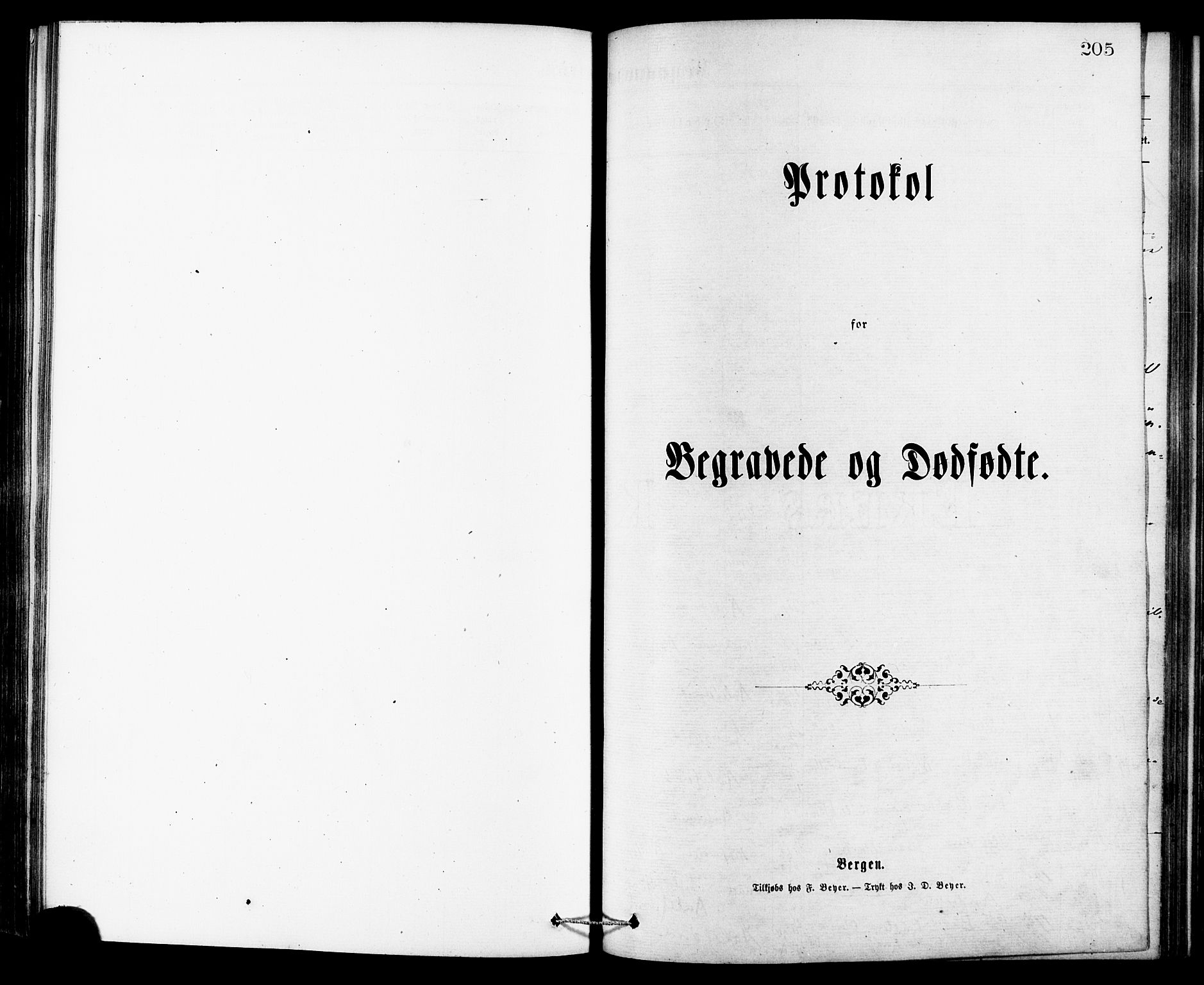 Ministerialprotokoller, klokkerbøker og fødselsregistre - Møre og Romsdal, SAT/A-1454/529/L0453: Parish register (official) no. 529A03, 1872-1877, p. 205