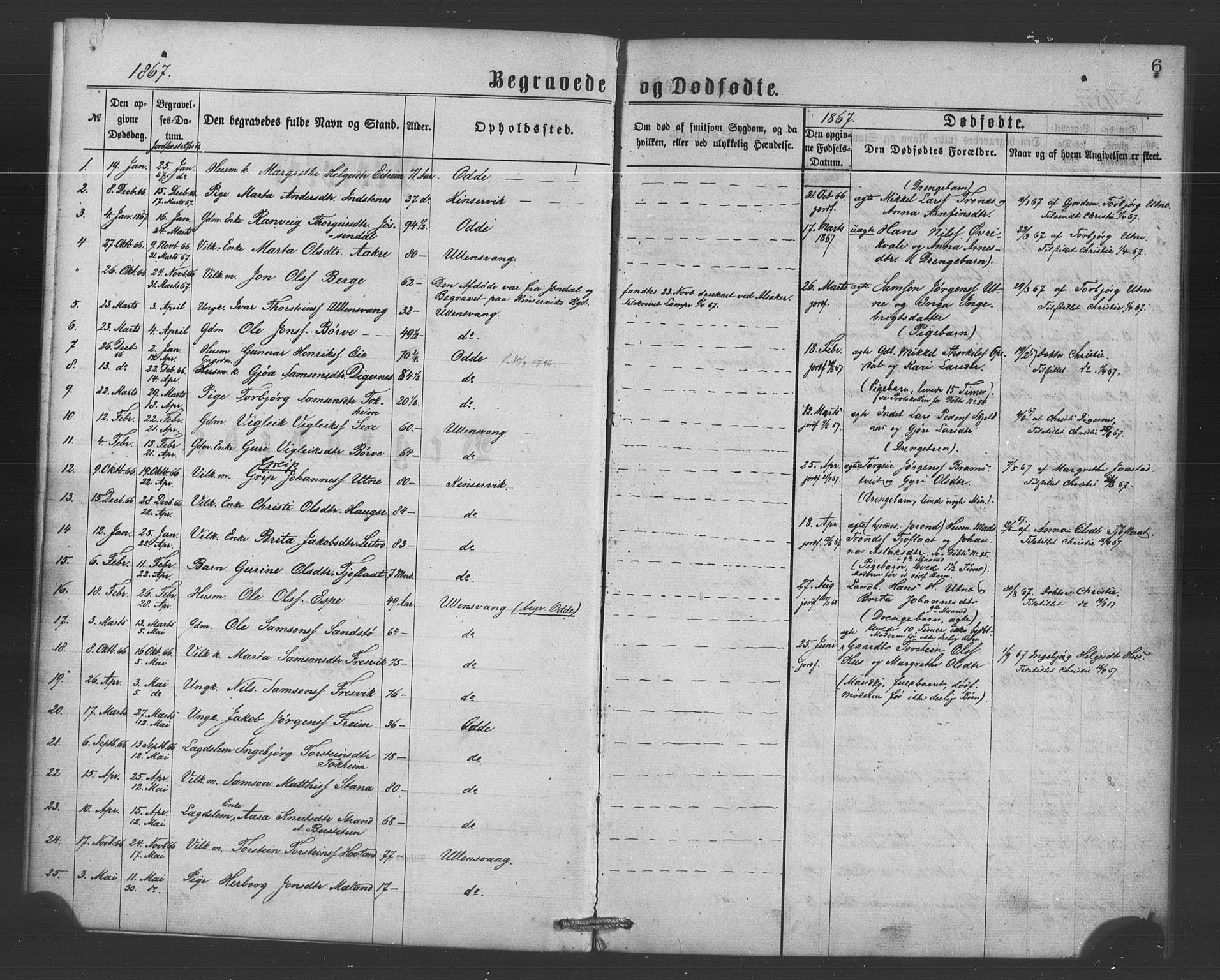 Ullensvang sokneprestembete, SAB/A-78701/H/Haa: Parish register (official) no. A 15, 1867-1882, p. 6