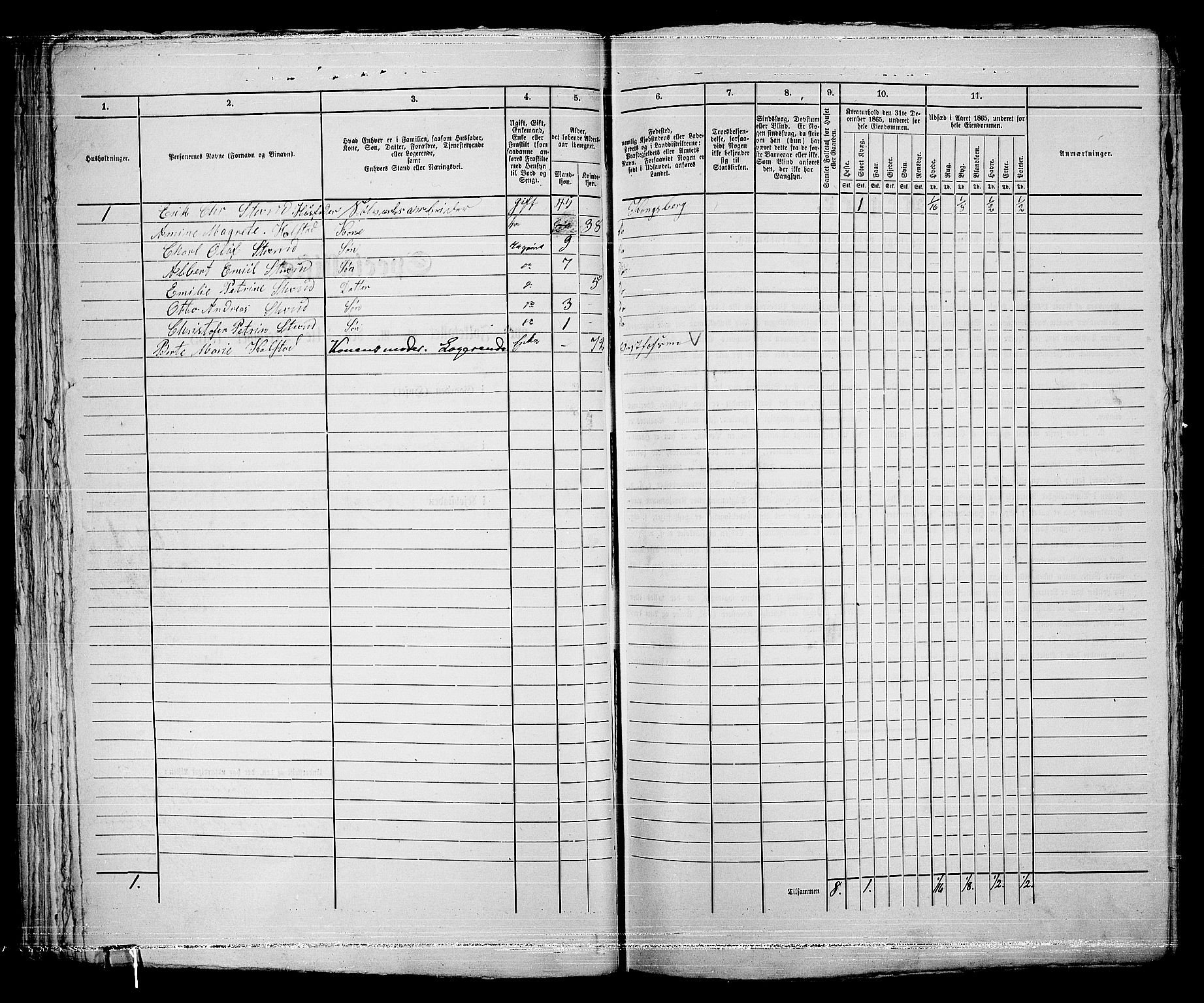 RA, 1865 census for Kongsberg/Kongsberg, 1865, p. 648