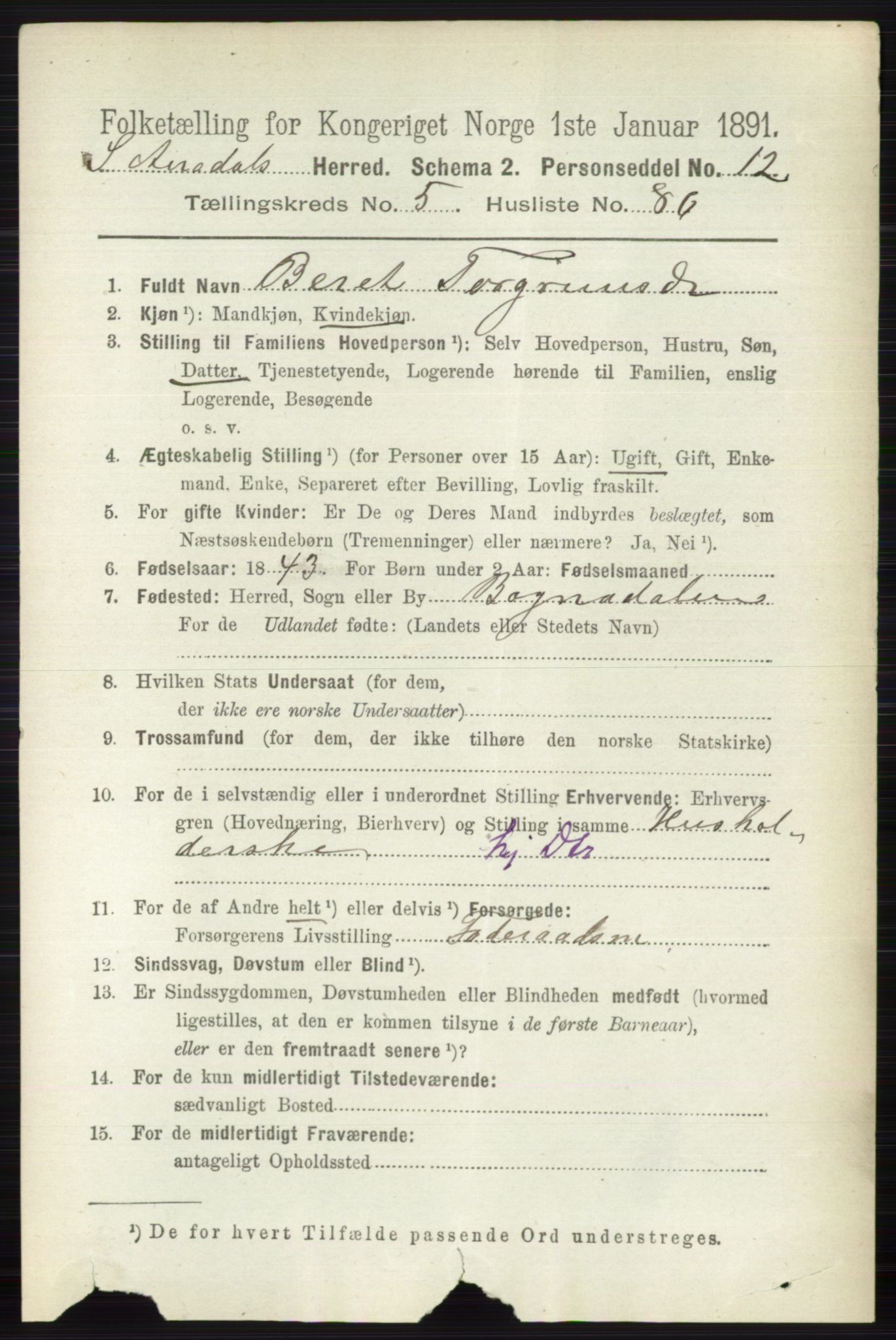 RA, 1891 census for 0540 Sør-Aurdal, 1891, p. 3723