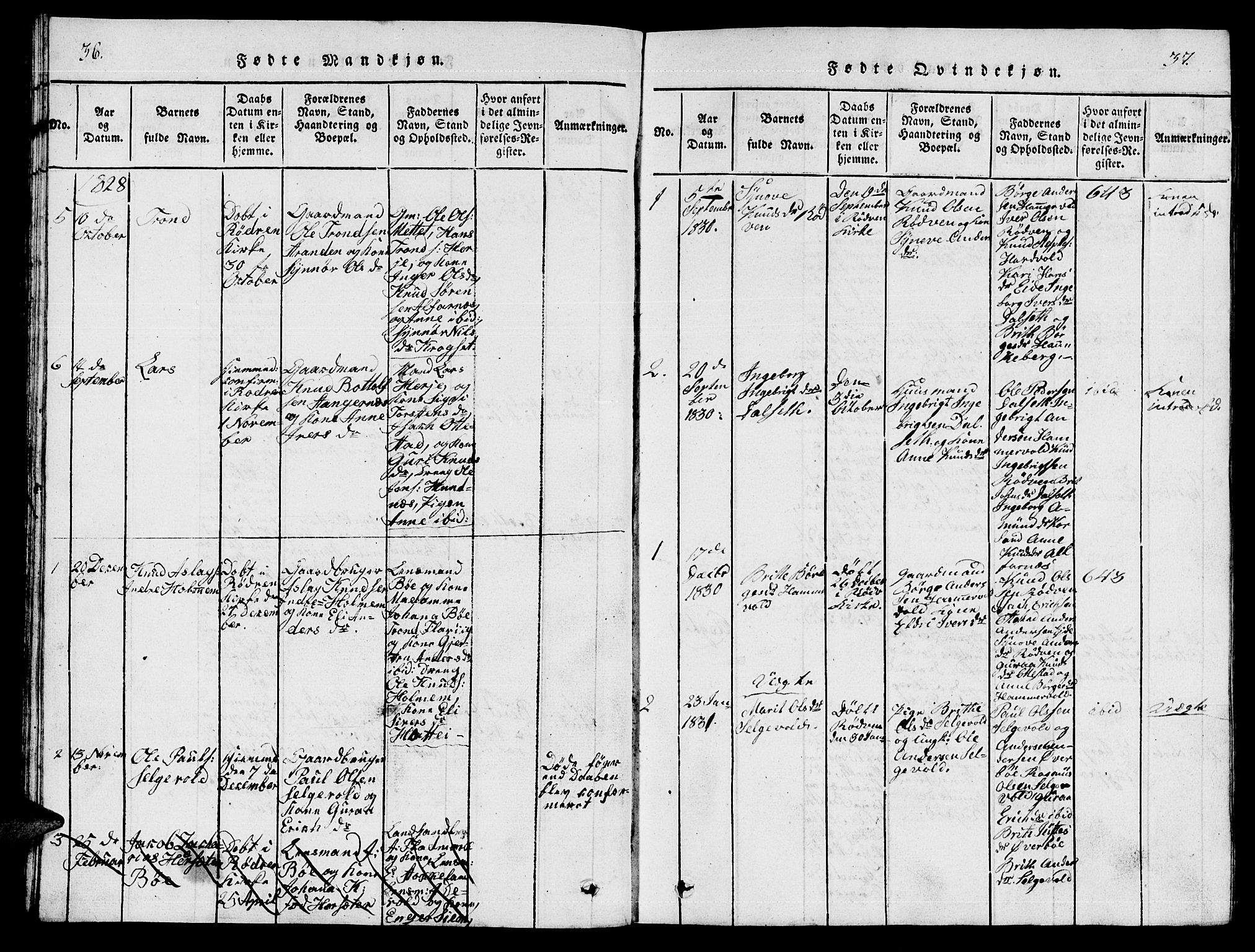 Ministerialprotokoller, klokkerbøker og fødselsregistre - Møre og Romsdal, AV/SAT-A-1454/548/L0613: Parish register (copy) no. 548C01, 1818-1846, p. 36-37