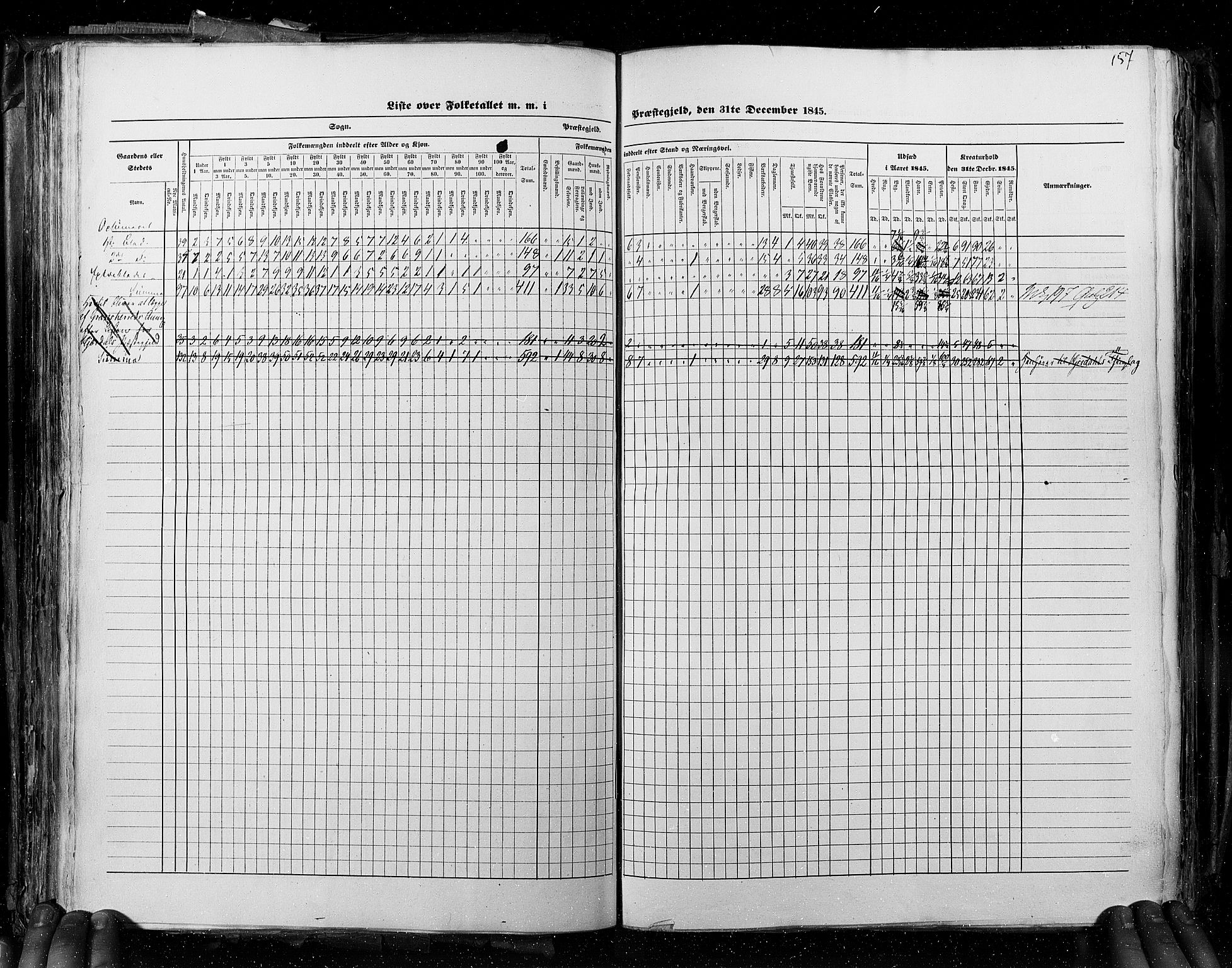 RA, Census 1845, vol. 4: Buskerud amt og Jarlsberg og Larvik amt, 1845, p. 157