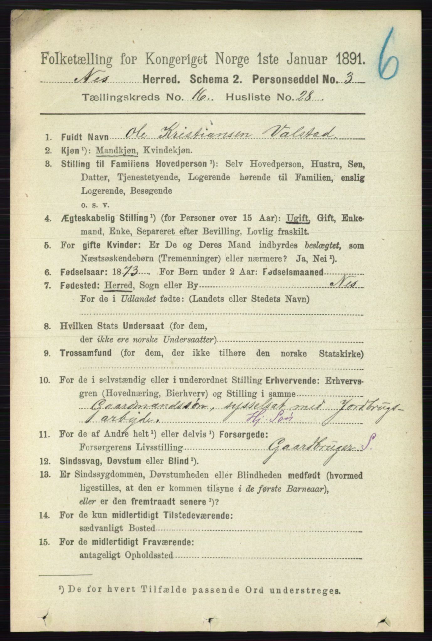 RA, 1891 census for 0236 Nes, 1891, p. 9723