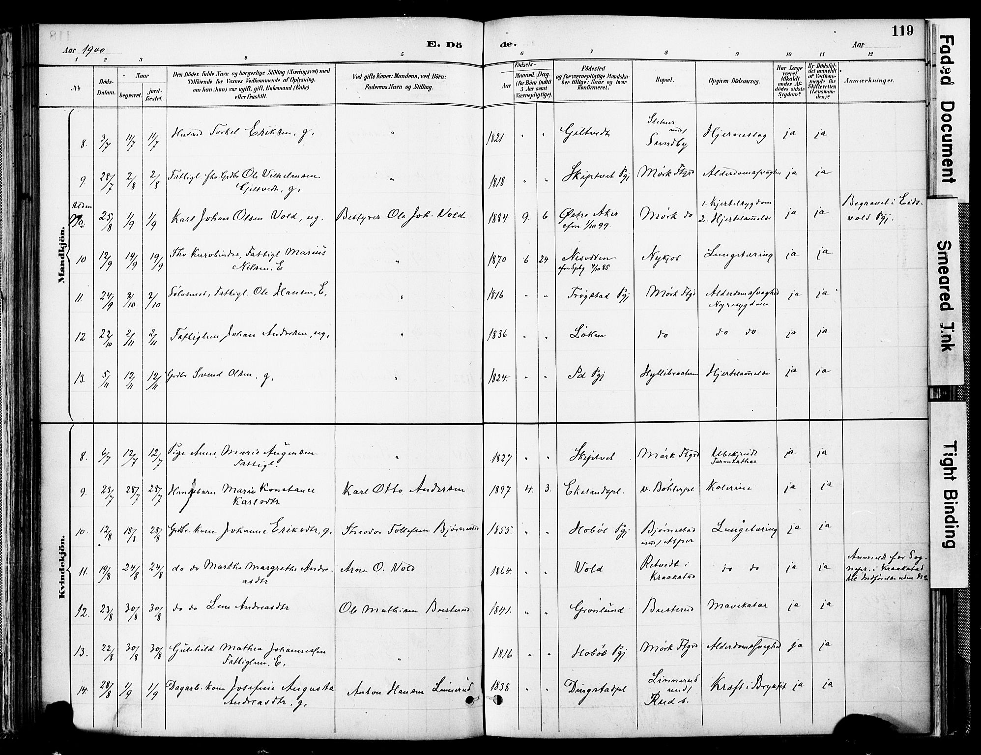 Spydeberg prestekontor Kirkebøker, AV/SAO-A-10924/F/Fa/L0008: Parish register (official) no. I 8, 1886-1900, p. 119