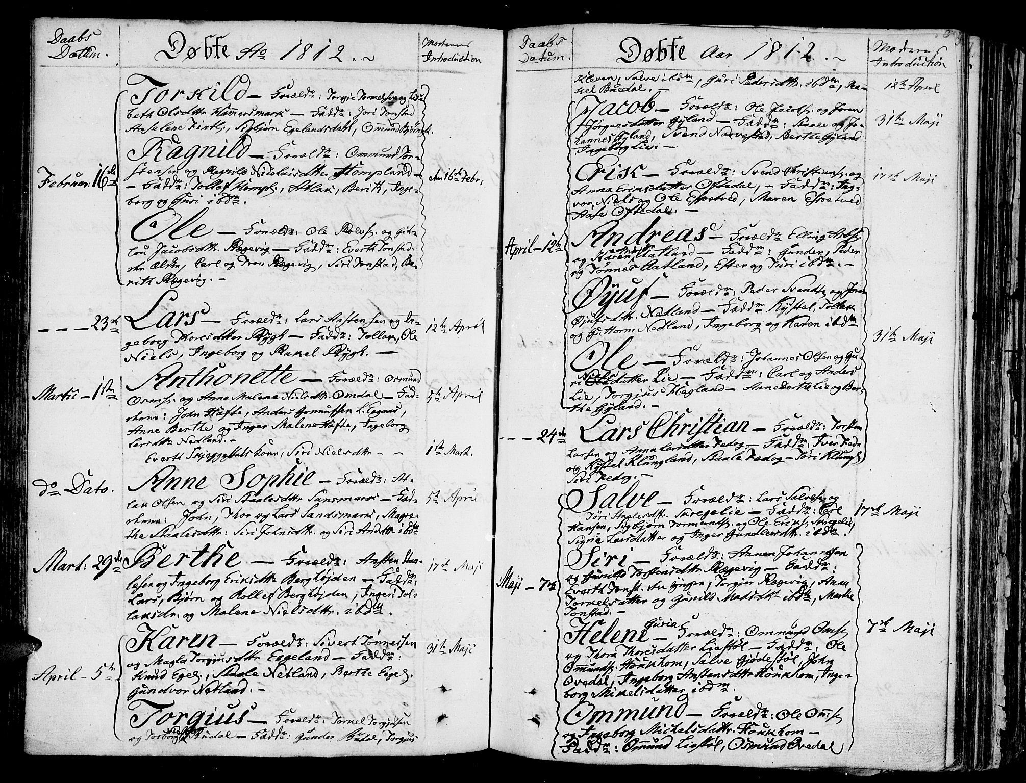 Bakke sokneprestkontor, SAK/1111-0002/F/Fa/Faa/L0002: Parish register (official) no. A 2, 1780-1816, p. 204