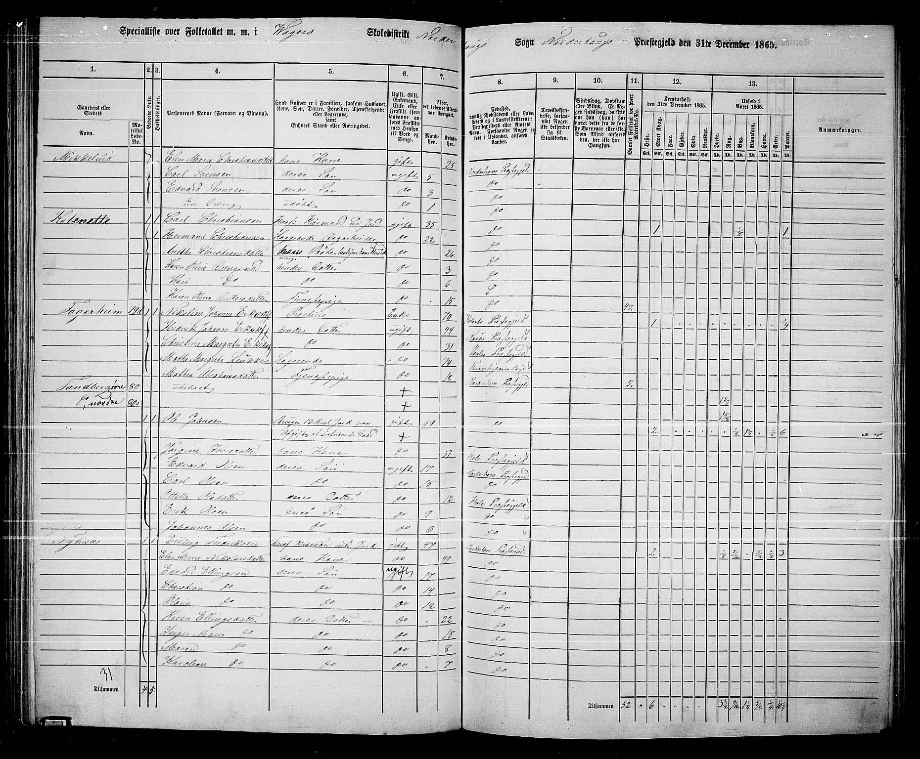 RA, 1865 census for Norderhov/Norderhov, Haug og Lunder, 1865, p. 107