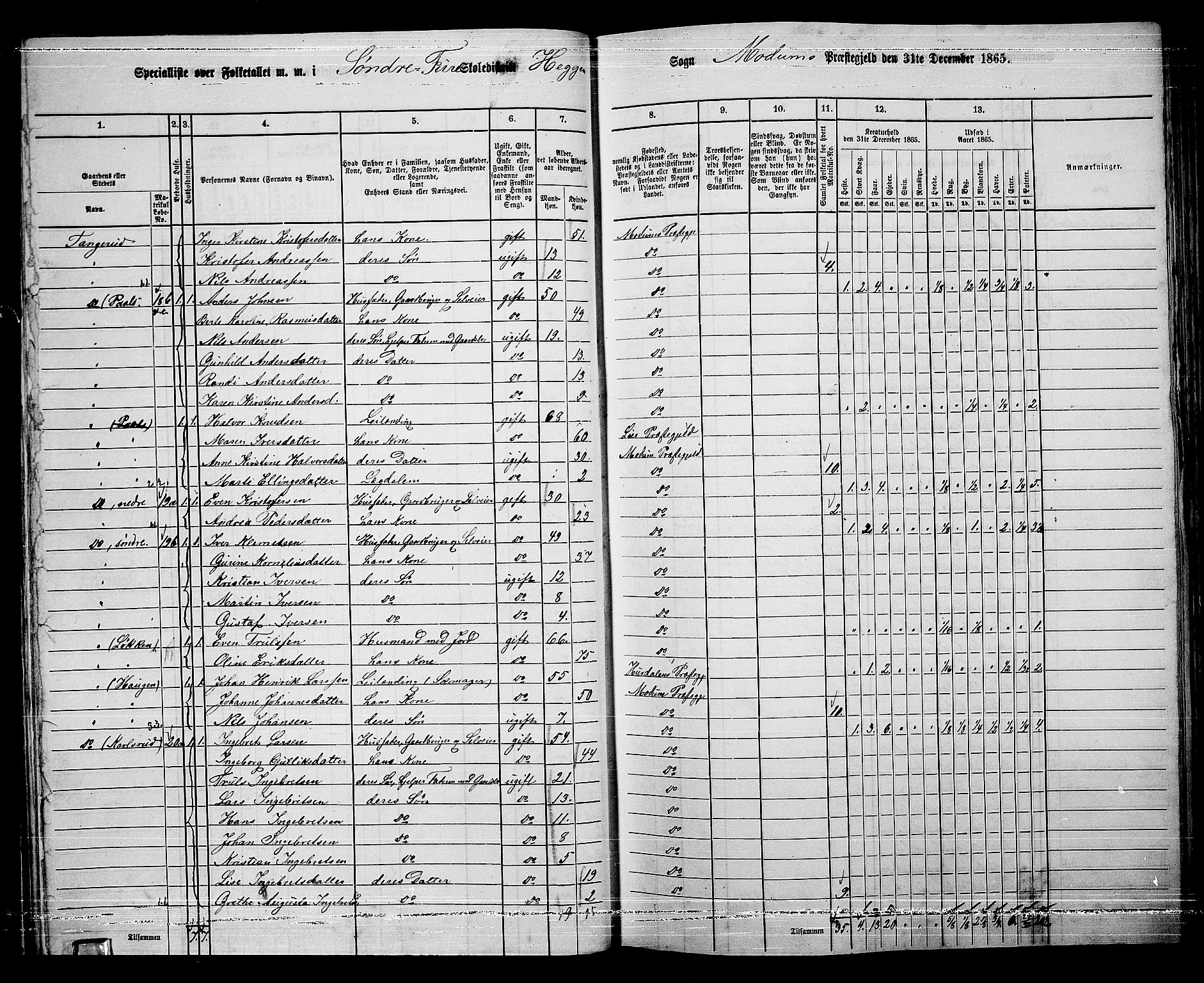 RA, 1865 census for Modum, 1865, p. 35
