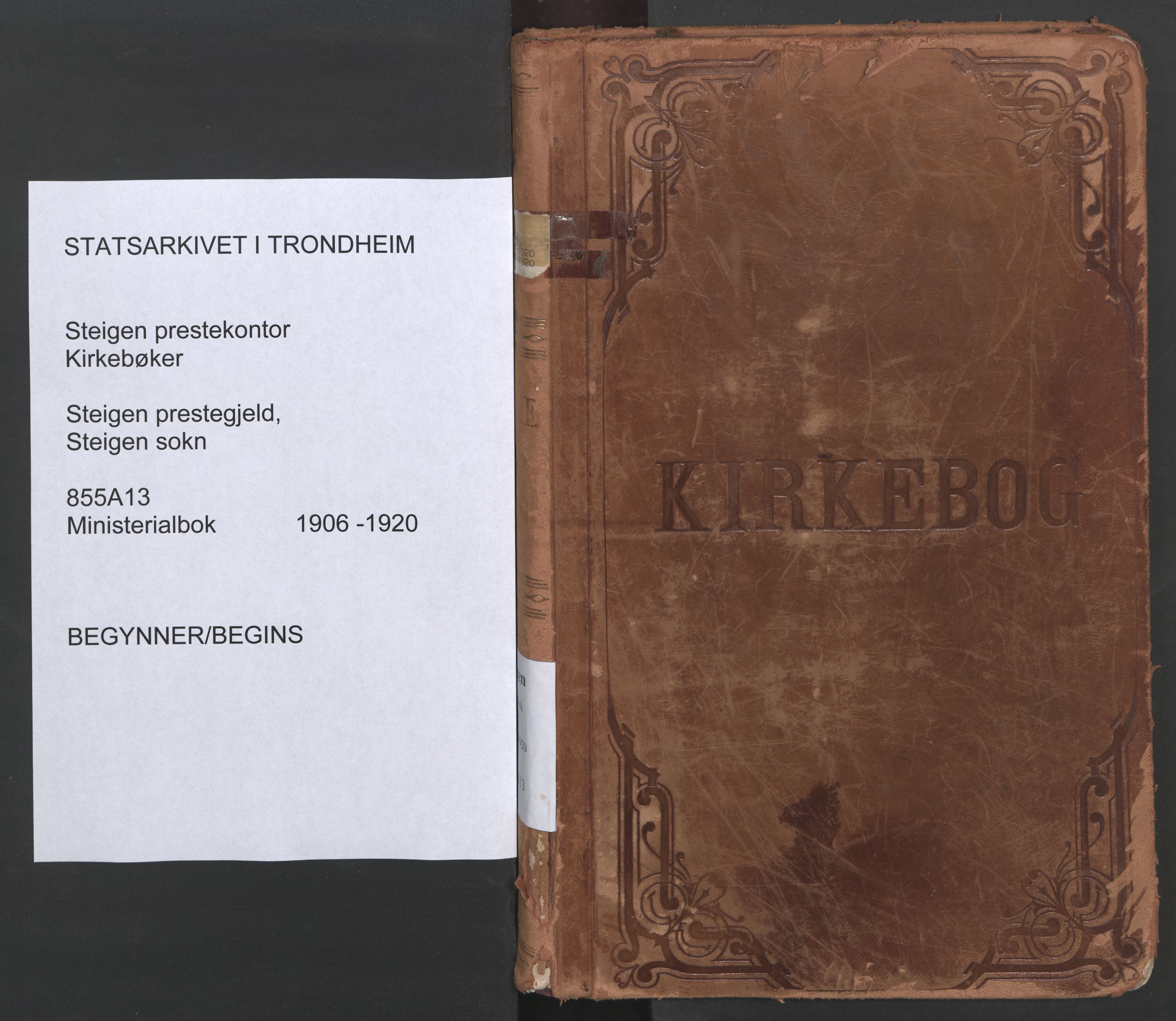Ministerialprotokoller, klokkerbøker og fødselsregistre - Nordland, SAT/A-1459/855/L0805: Parish register (official) no. 855A13, 1906-1920