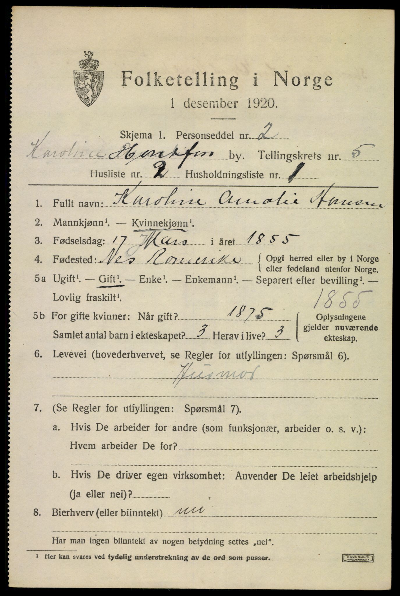 SAKO, 1920 census for Hønefoss, 1920, p. 6632