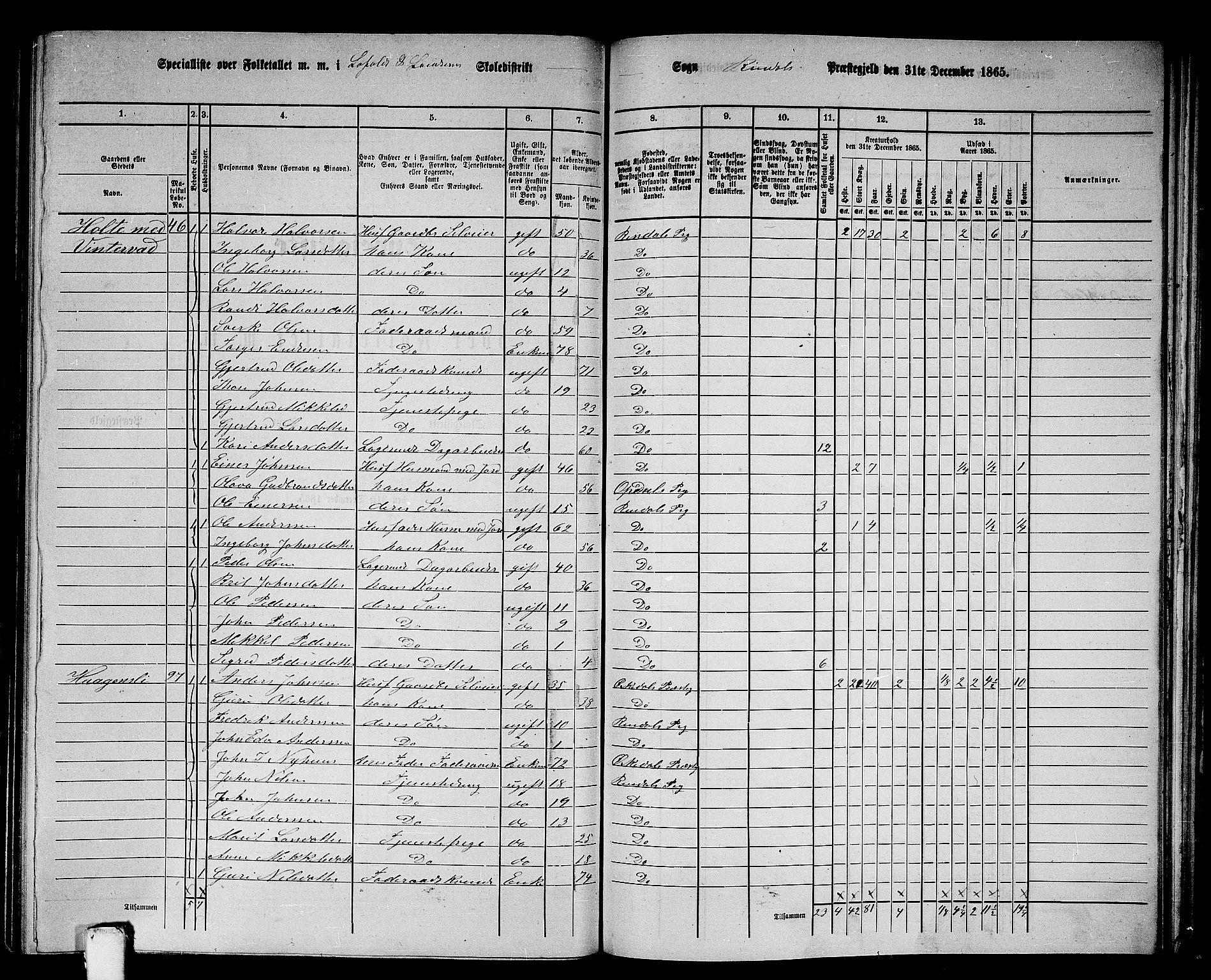 RA, 1865 census for Rindal, 1865, p. 51