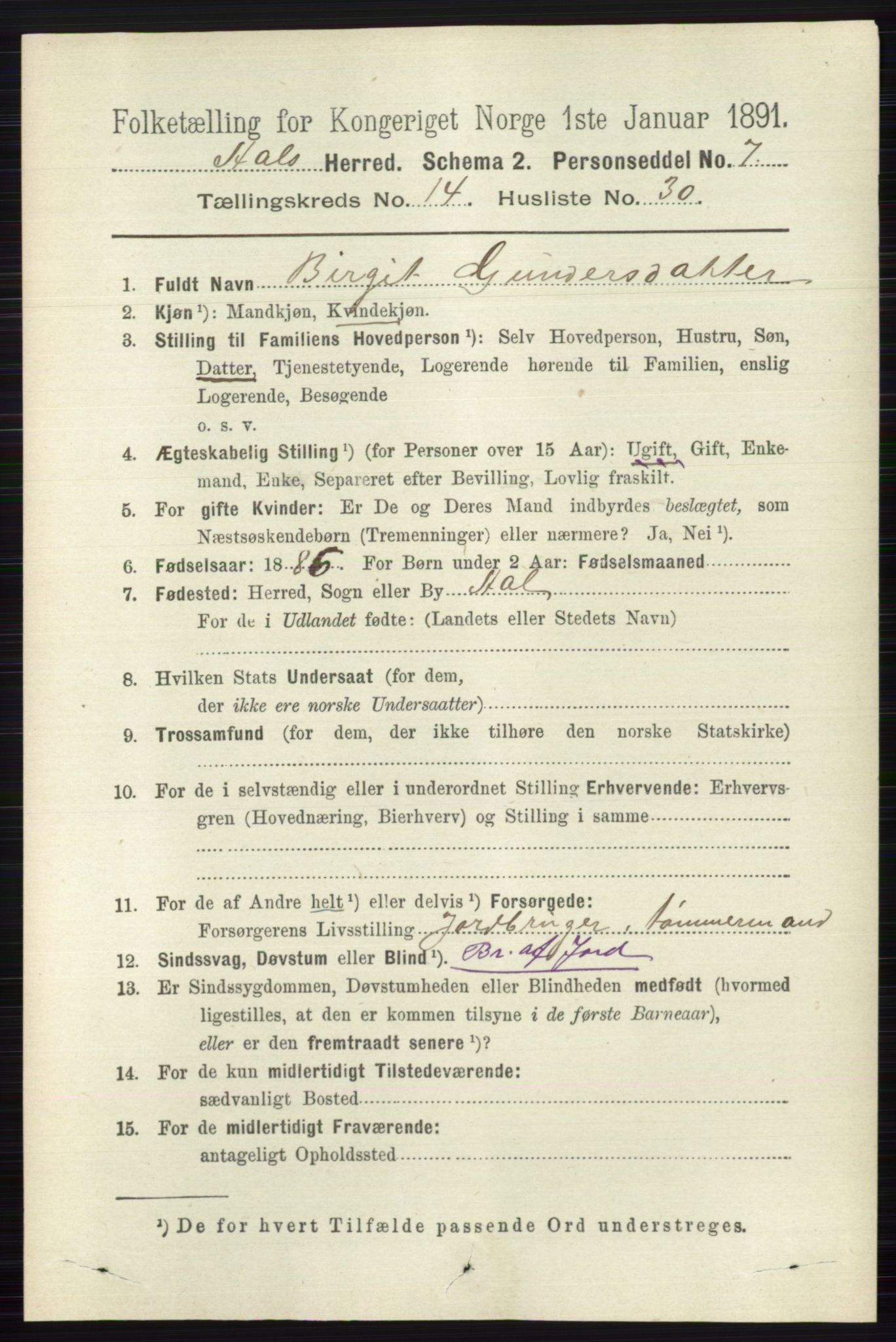 RA, 1891 census for 0619 Ål, 1891, p. 3690