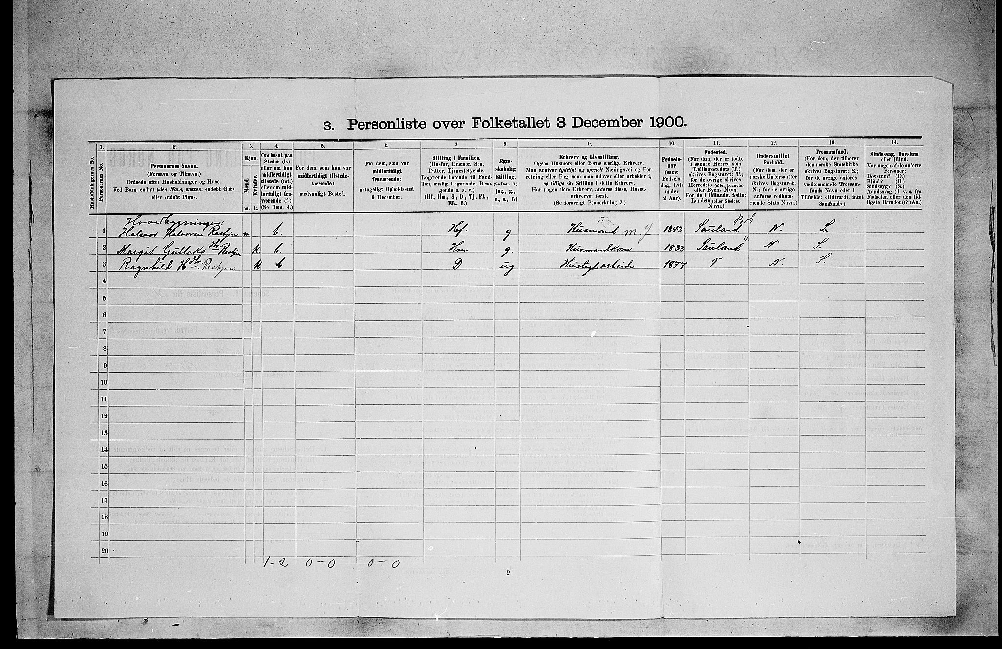 SAKO, 1900 census for Heddal, 1900, p. 1076