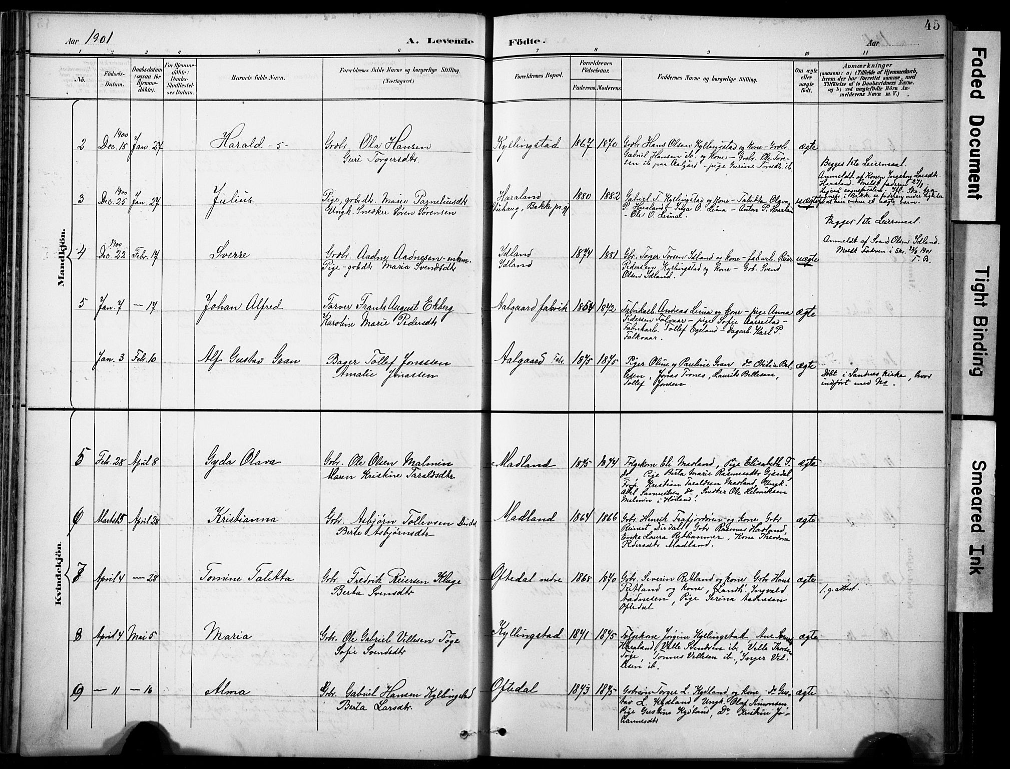 Lye sokneprestkontor, AV/SAST-A-101794/001/30BA/L0012: Parish register (official) no. A 11, 1896-1909, p. 45