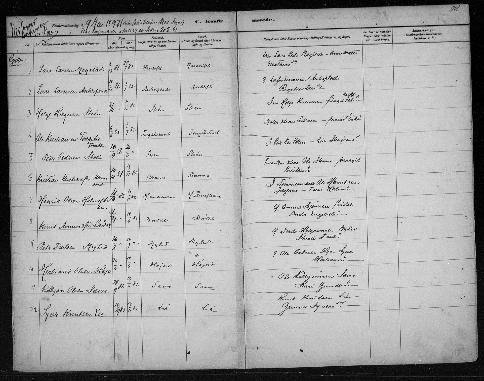 Nes kirkebøker, AV/SAKO-A-236/F/Fa/L0012: Parish register (official) no. 12, 1881-1917, p. 201