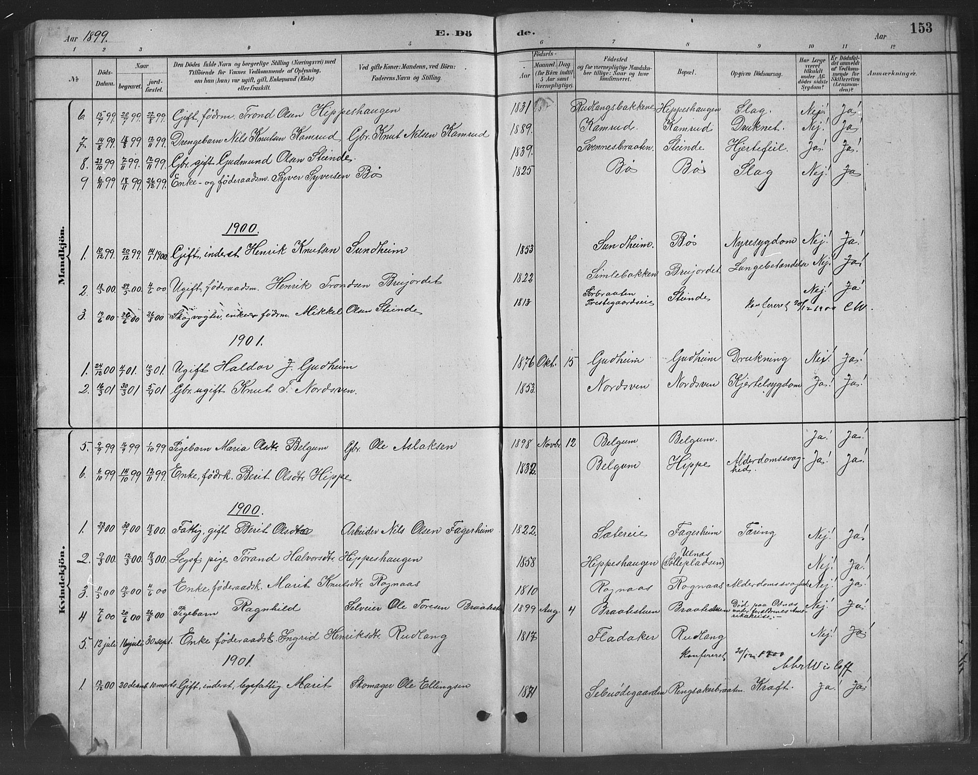 Nord-Aurdal prestekontor, SAH/PREST-132/H/Ha/Hab/L0008: Parish register (copy) no. 8, 1883-1916, p. 153