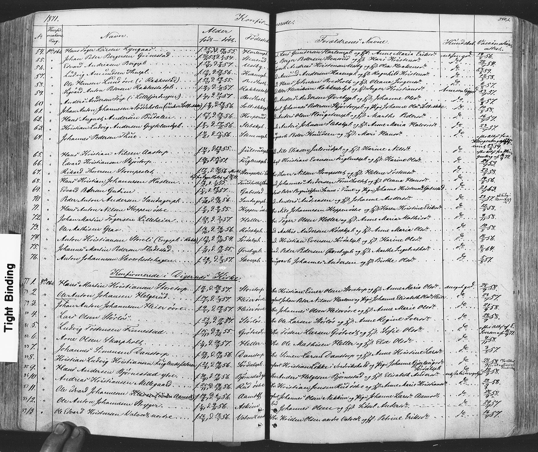 Rakkestad prestekontor Kirkebøker, AV/SAO-A-2008/F/Fa/L0011: Parish register (official) no. I 11, 1862-1877, p. 250b