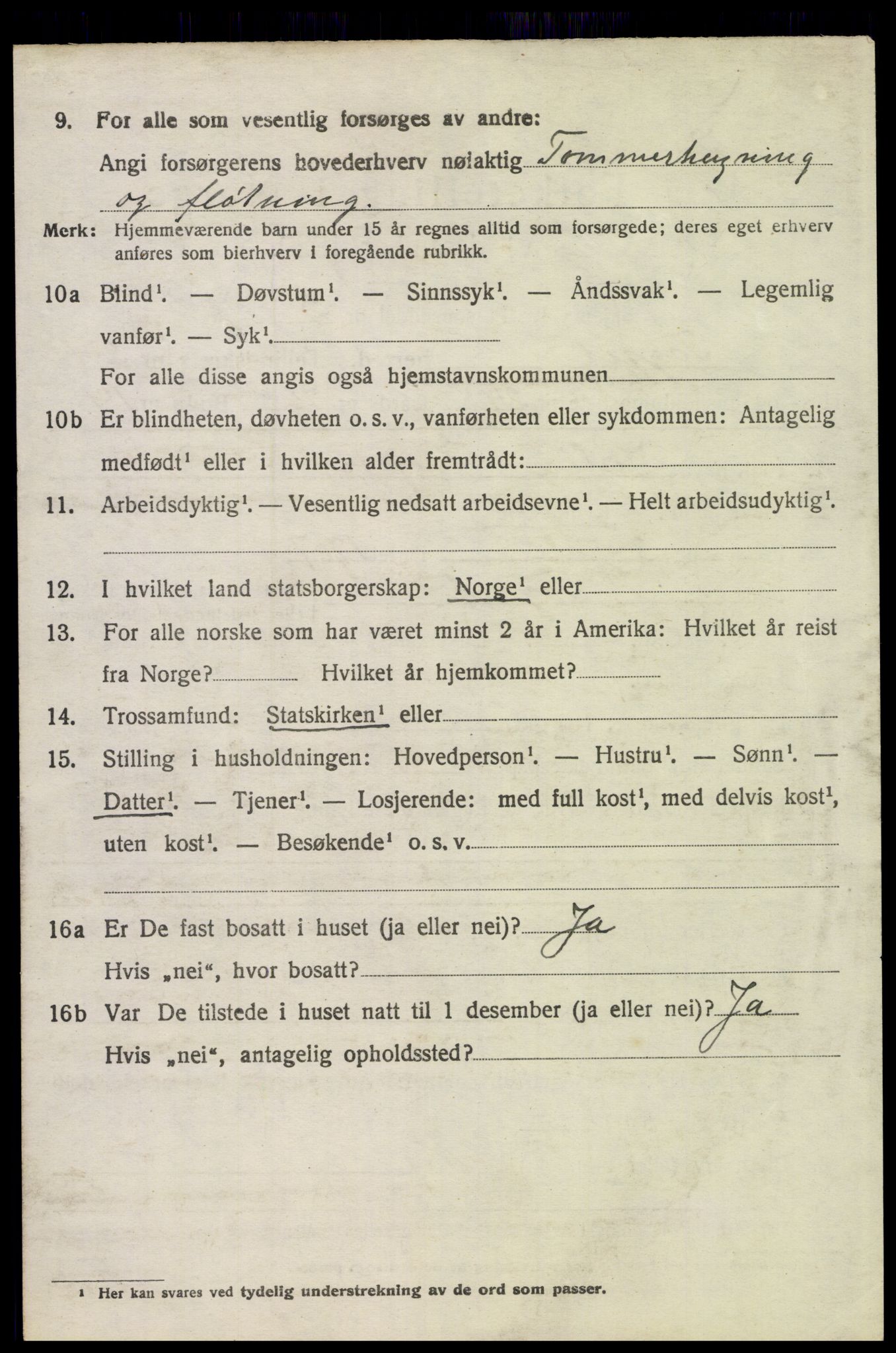 SAH, 1920 census for Trysil, 1920, p. 15512