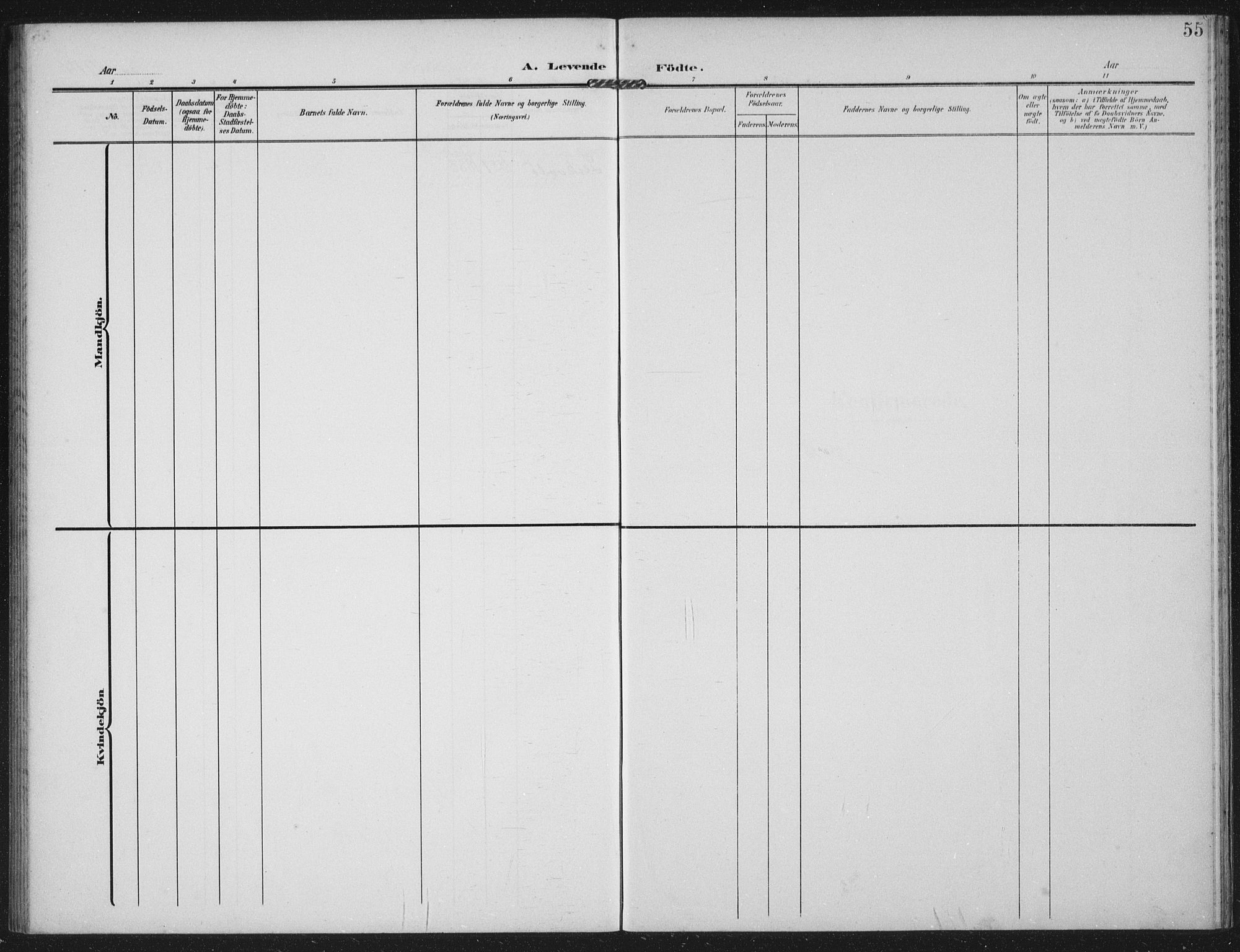 Hetland sokneprestkontor, AV/SAST-A-101826/30/30BA: Parish register (official) no. A 14, 1905-1919, p. 55