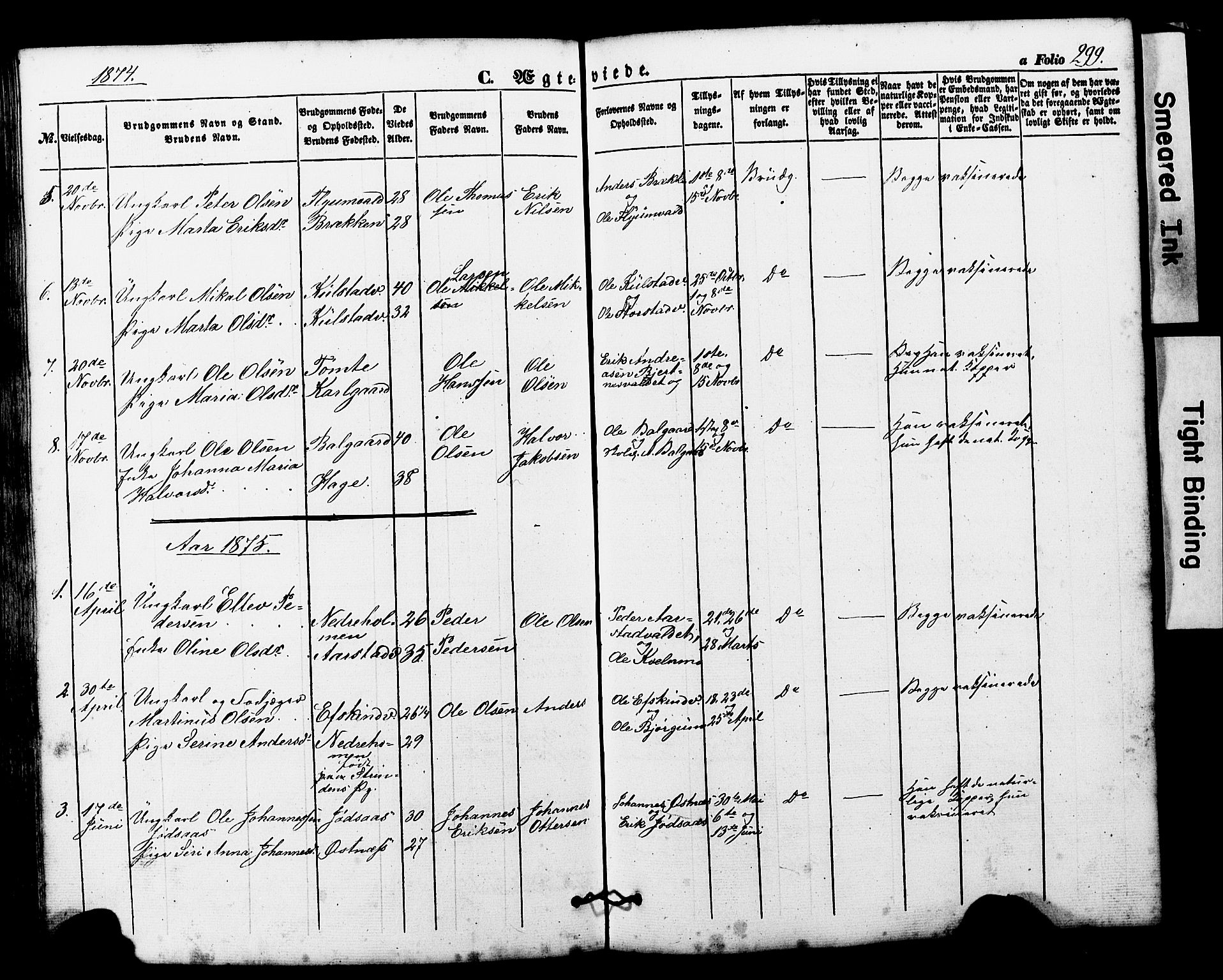 Ministerialprotokoller, klokkerbøker og fødselsregistre - Nord-Trøndelag, SAT/A-1458/724/L0268: Parish register (copy) no. 724C04, 1846-1878, p. 299