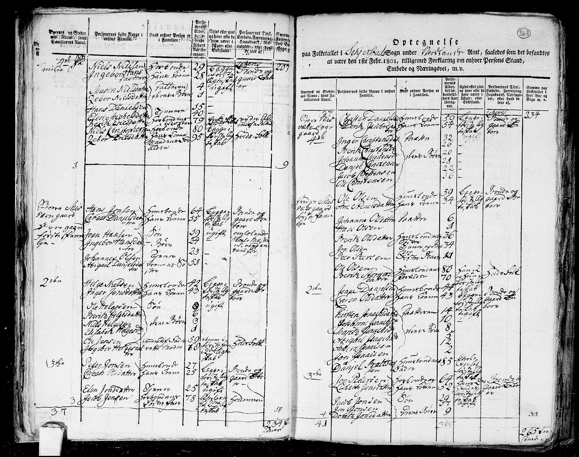 RA, 1801 census for 1842P Skjerstad, 1801, p. 362b-363a