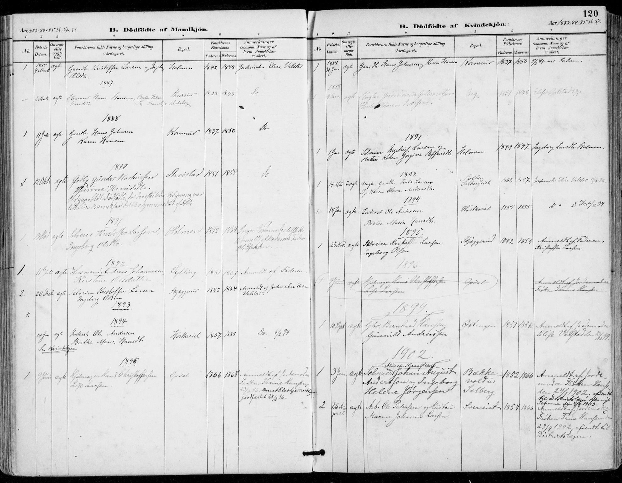 Sylling kirkebøker, SAKO/A-247/F/Fa/L0001: Parish register (official) no. 1, 1883-1910, p. 120