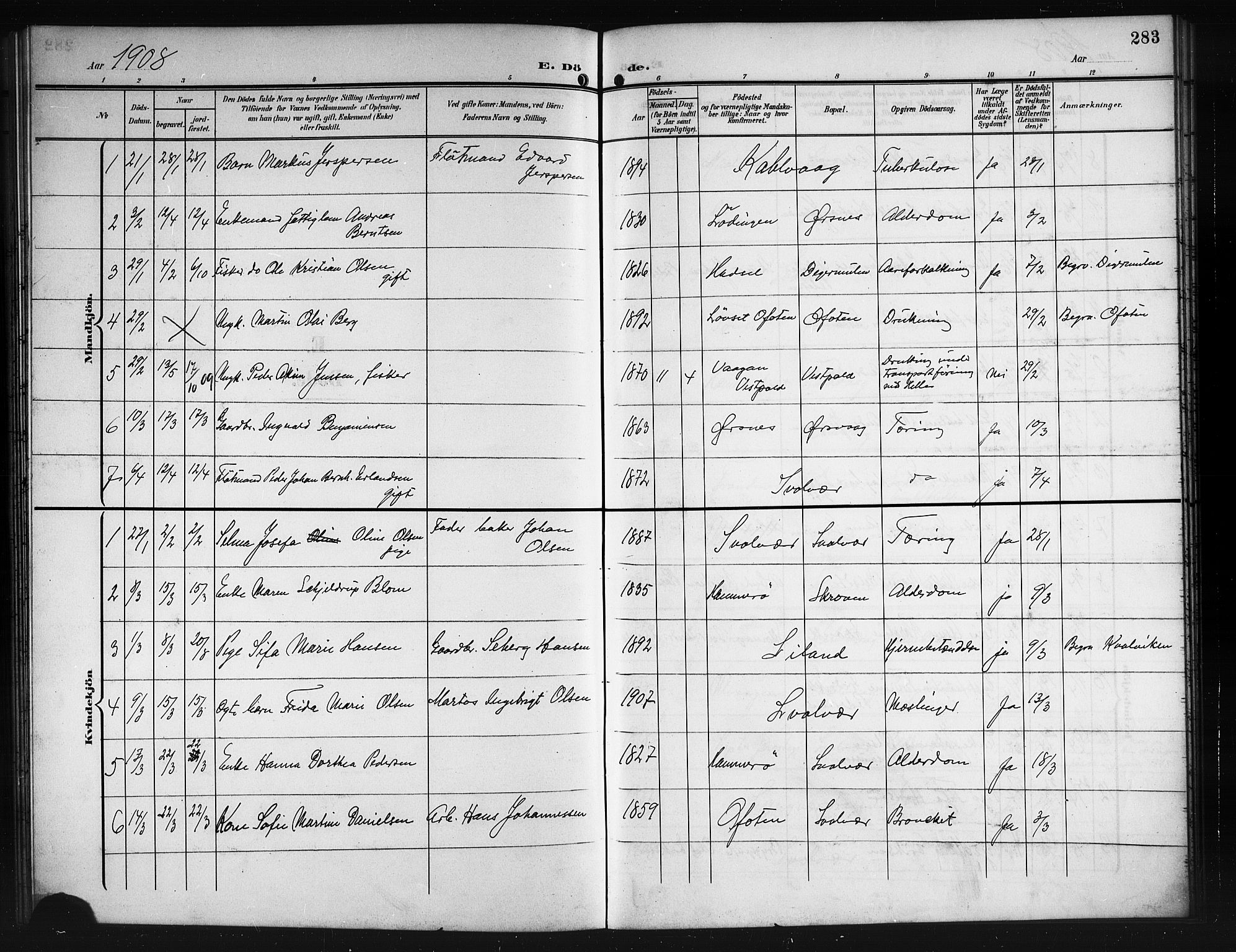 Ministerialprotokoller, klokkerbøker og fødselsregistre - Nordland, SAT/A-1459/874/L1079: Parish register (copy) no. 874C08, 1907-1915, p. 283