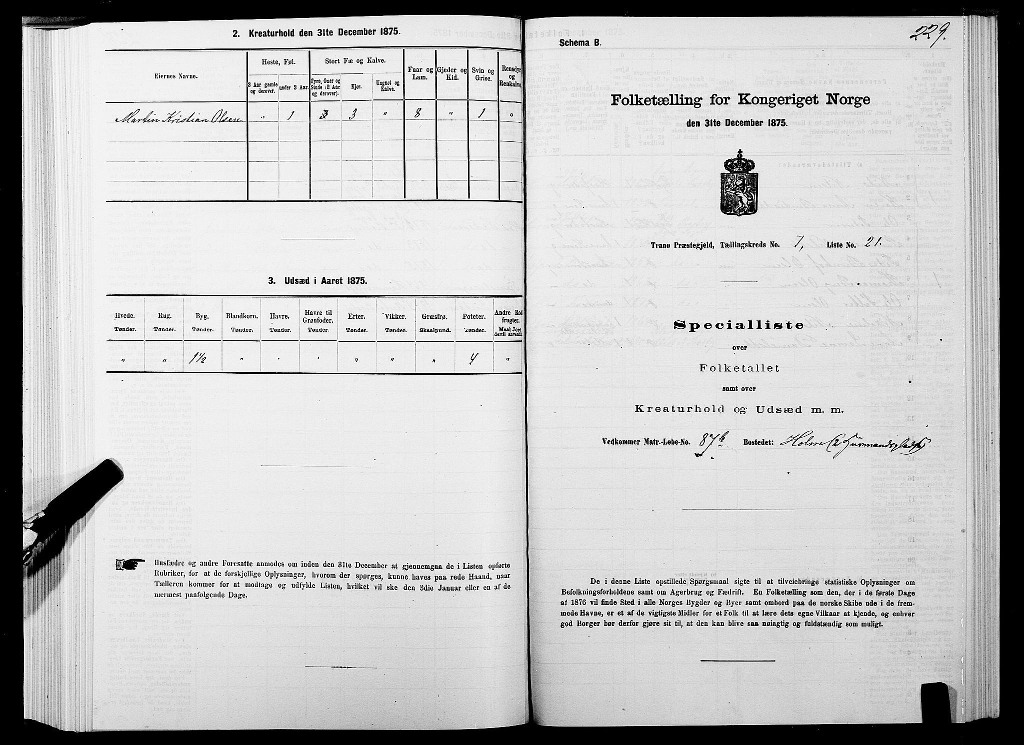 SATØ, 1875 census for 1927P Tranøy, 1875, p. 3229