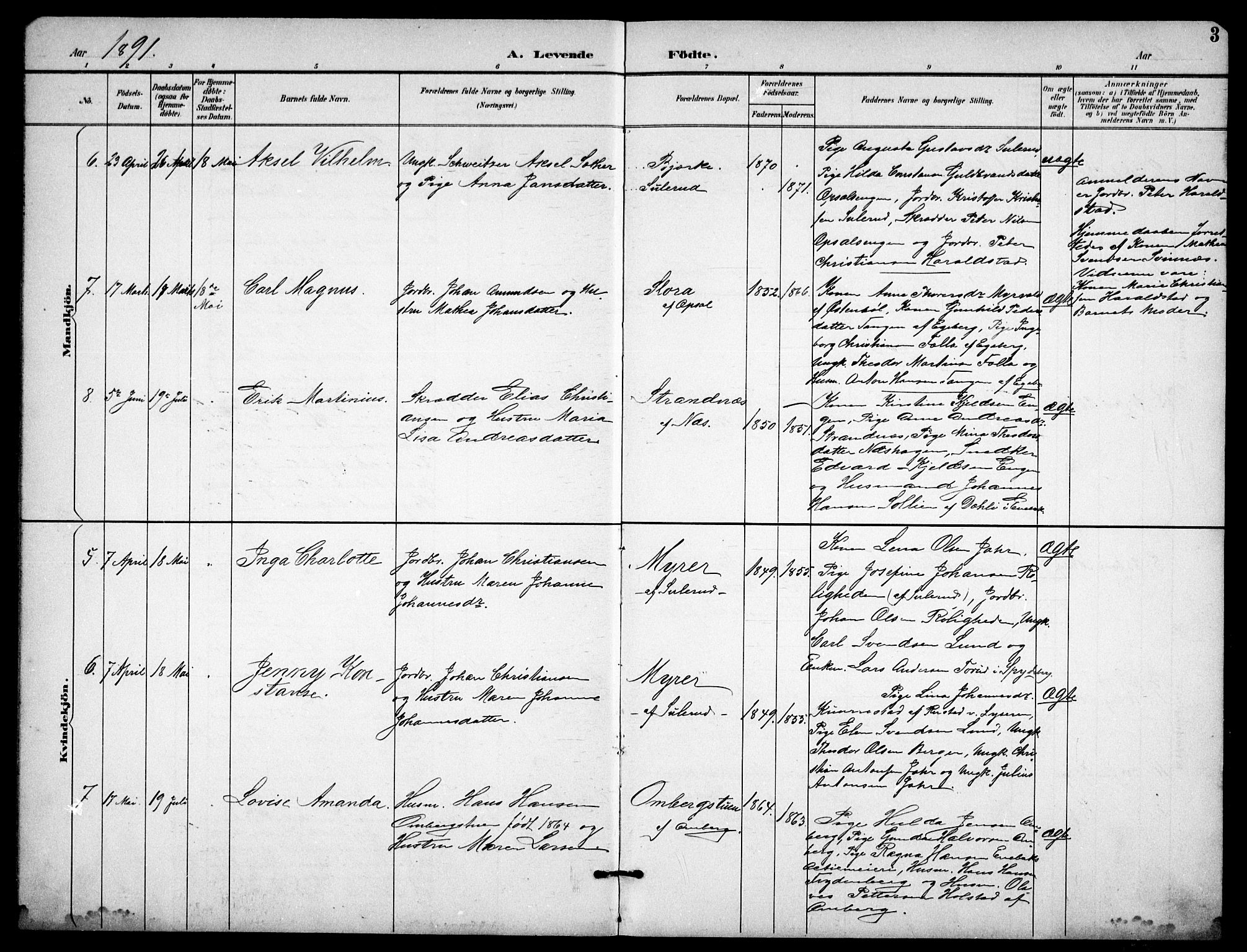 Enebakk prestekontor Kirkebøker, SAO/A-10171c/G/Gb/L0002: Parish register (copy) no. II 2, 1891-1903, p. 3