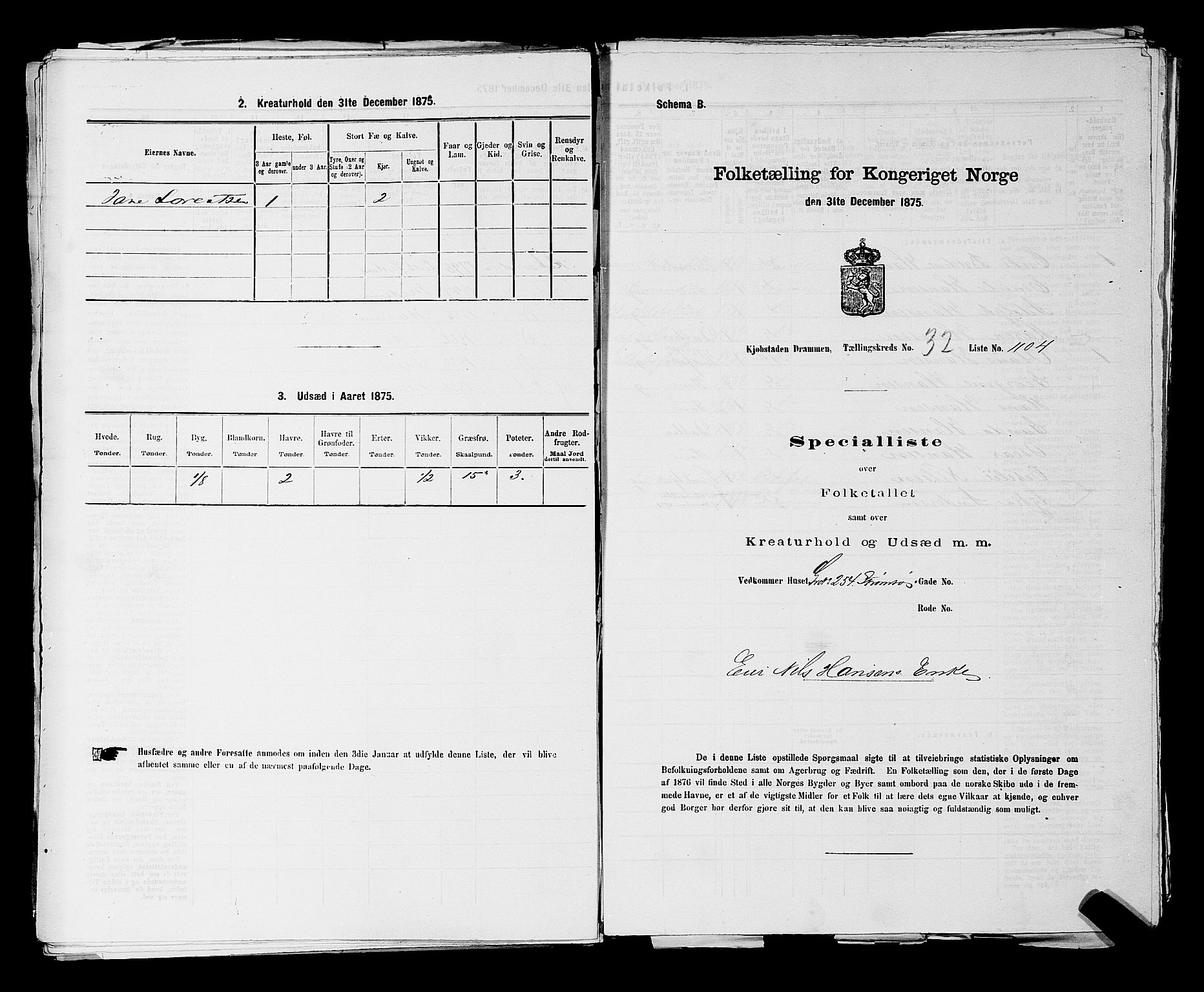 SAKO, 1875 census for 0602 Drammen, 1875, p. 2946