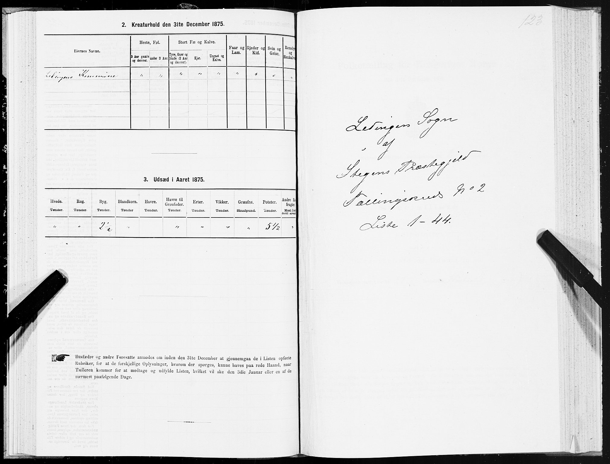 SAT, 1875 census for 1848P Steigen, 1875, p. 1123