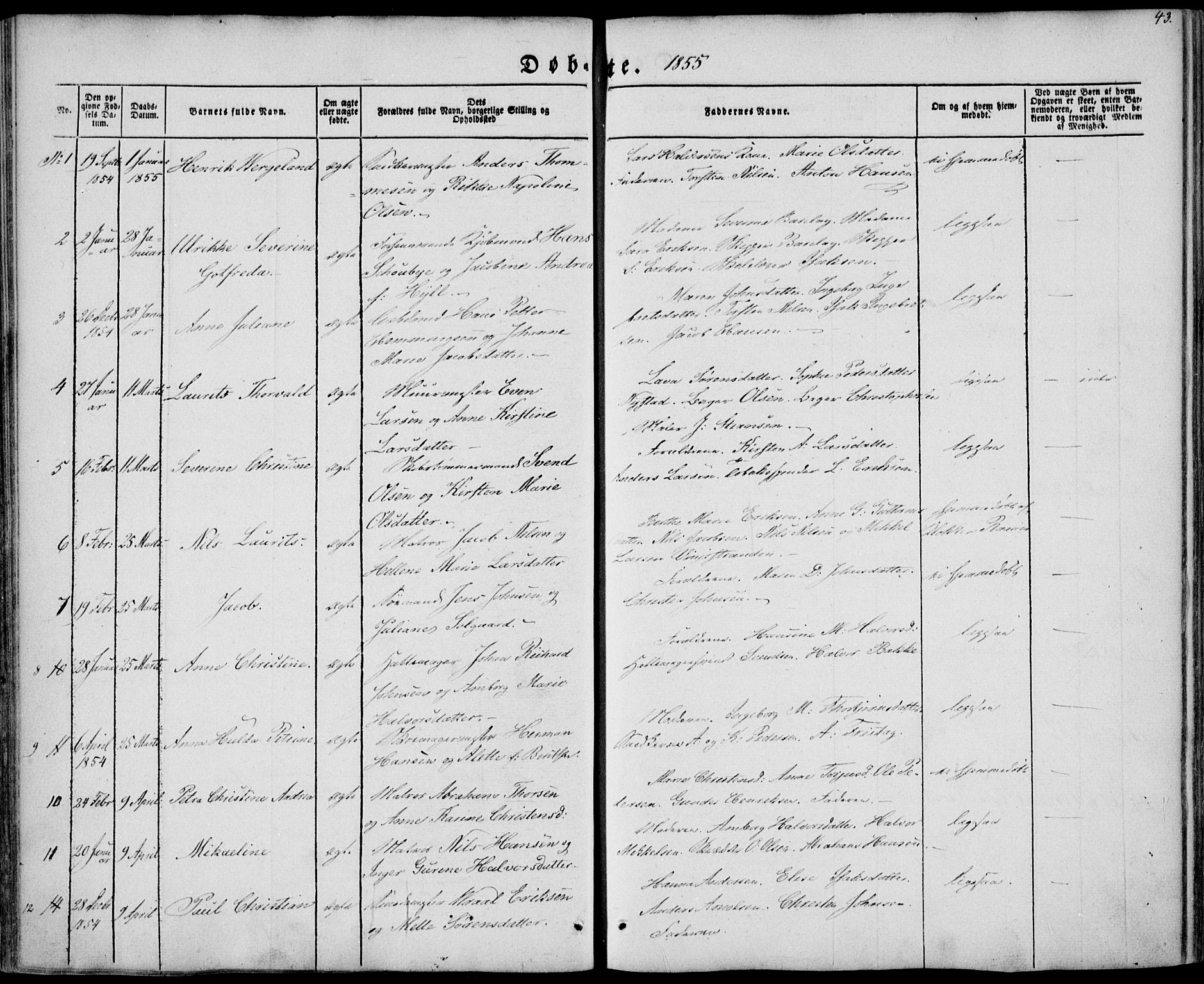 Brevik kirkebøker, SAKO/A-255/F/Fa/L0005: Parish register (official) no. 5, 1847-1865, p. 43
