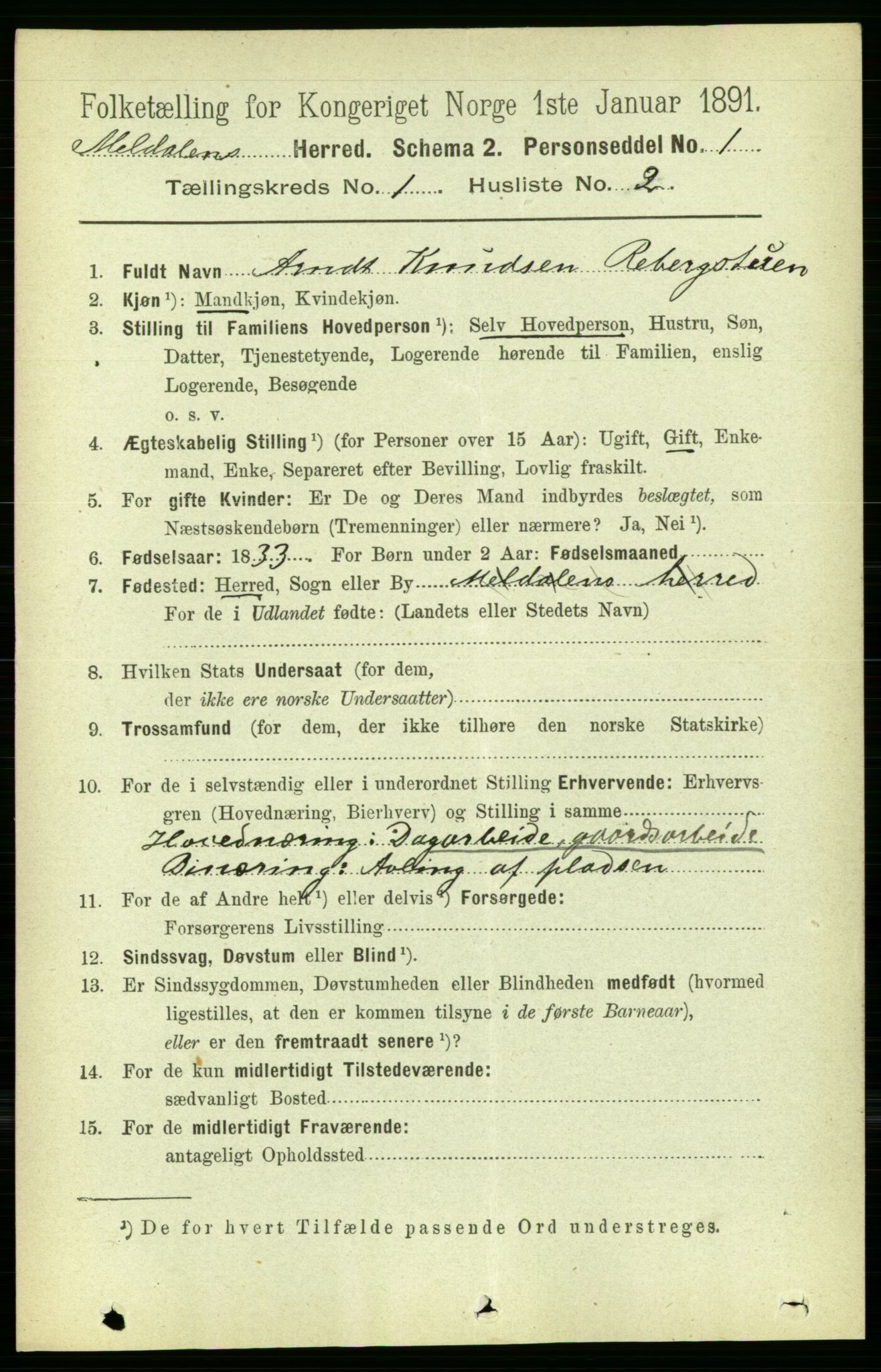 RA, 1891 census for 1636 Meldal, 1891, p. 166