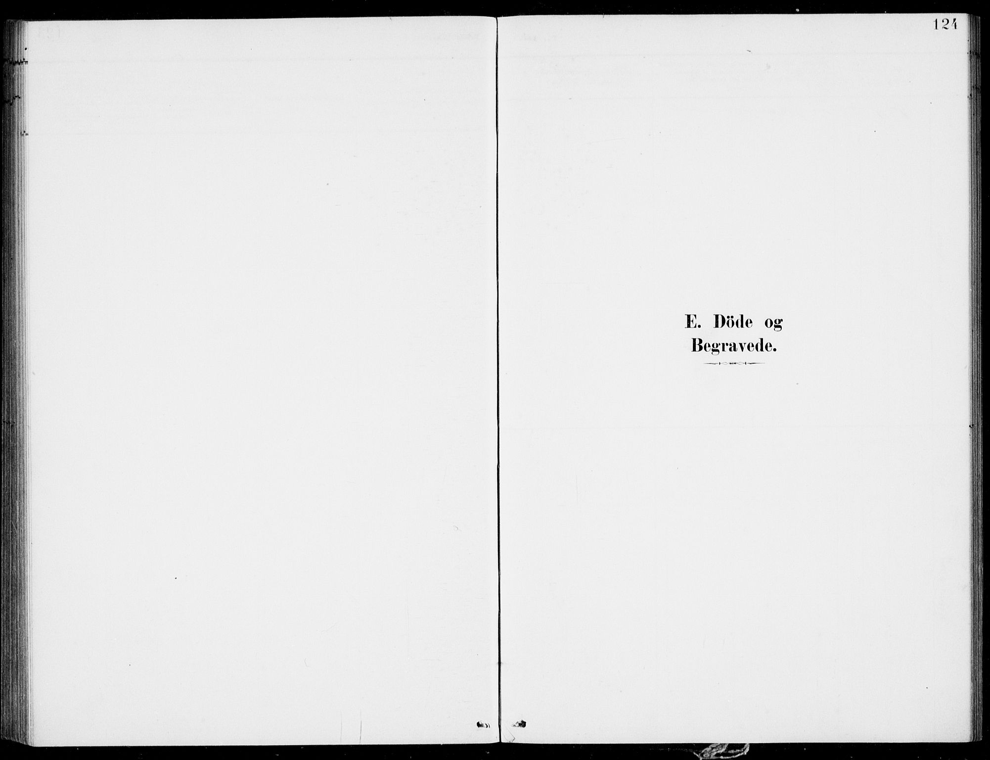 Førde sokneprestembete, SAB/A-79901/H/Haa/Haac/L0001: Parish register (official) no. C  1, 1881-1920, p. 124